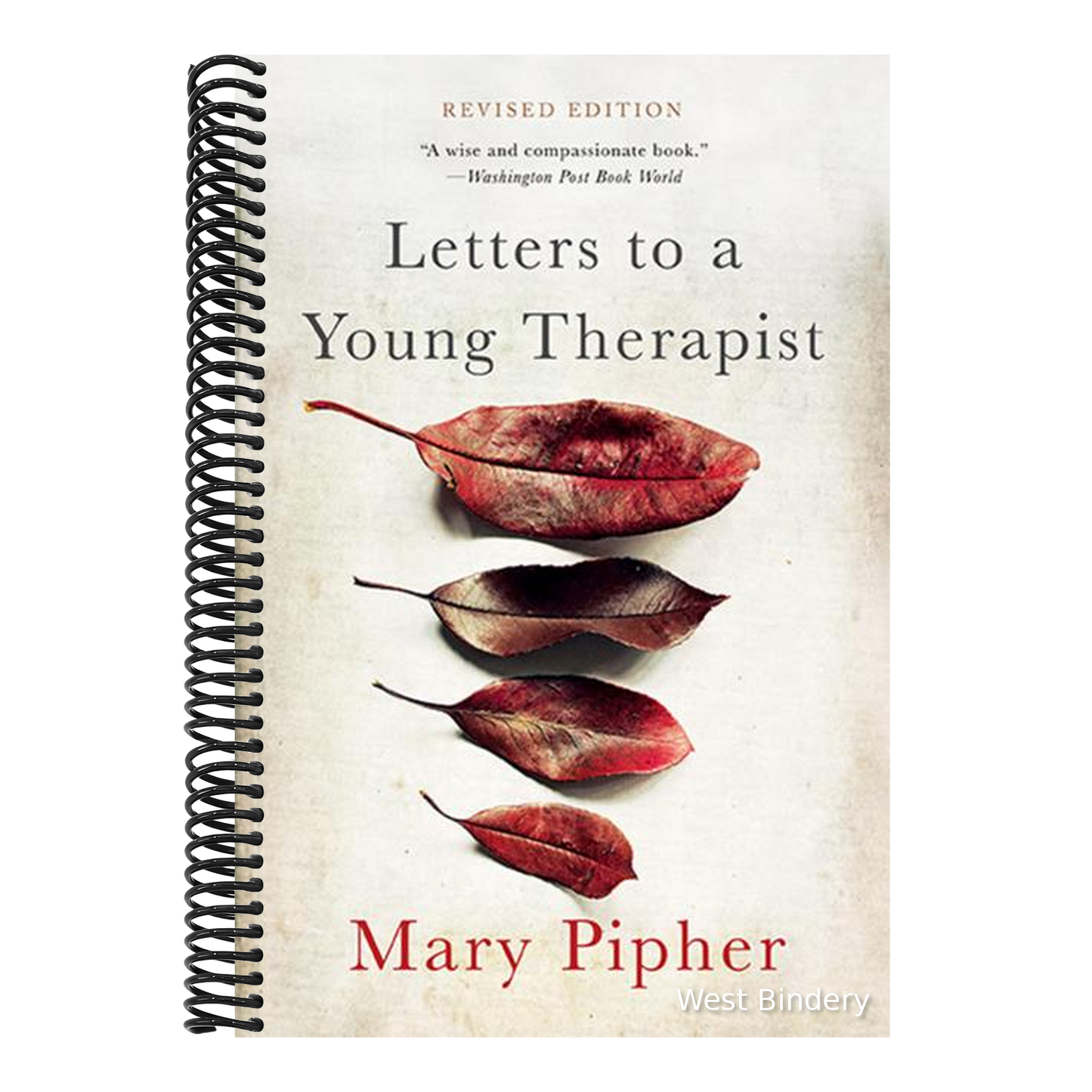 Letters to a Young Therapist