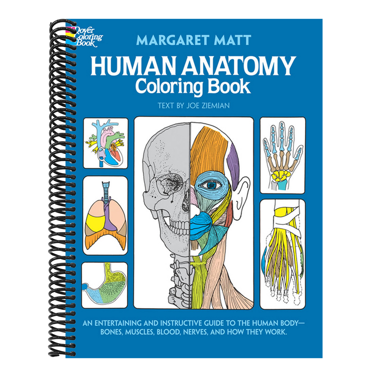 Human Anatomy Coloring Book (Dover Science for Kids Coloring Books) (Spiral Bound)