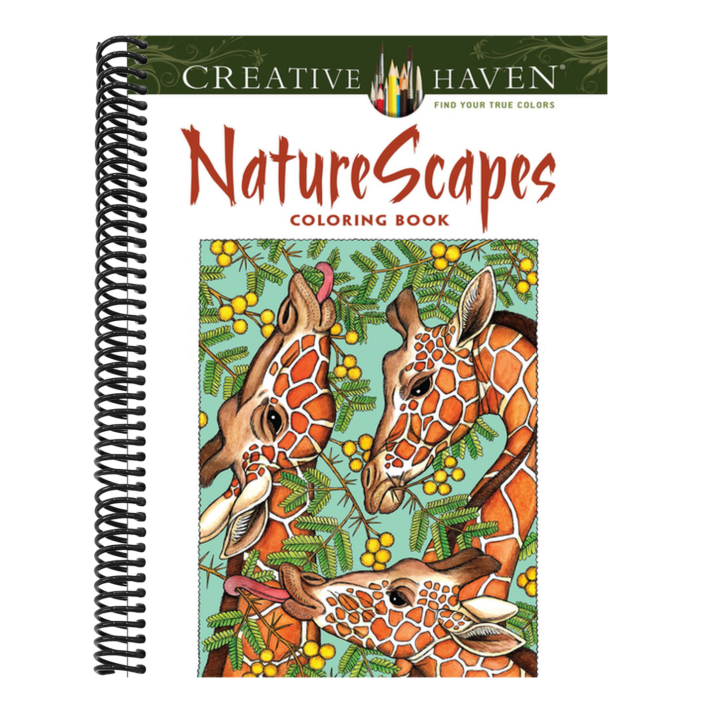 NatureScapes (First Edition, First)