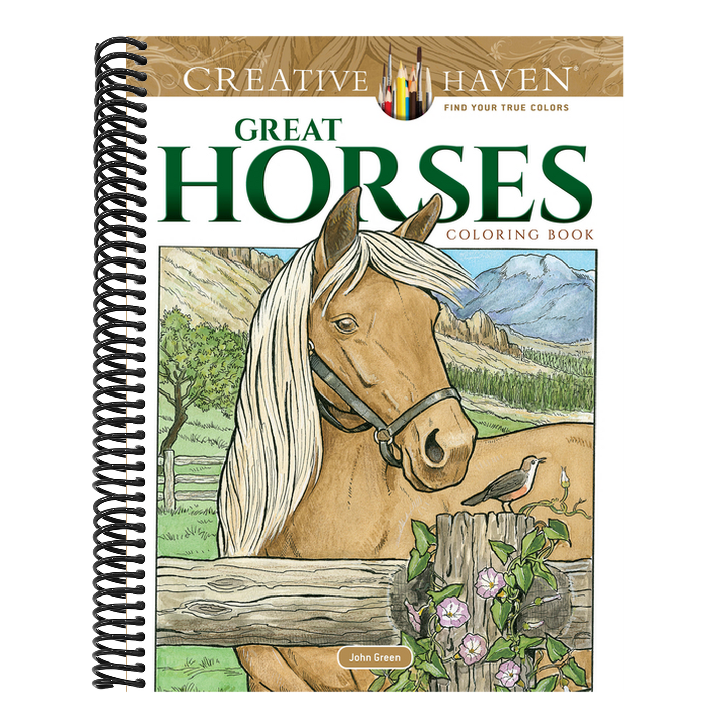 Creative Haven Great Horses Coloring Book