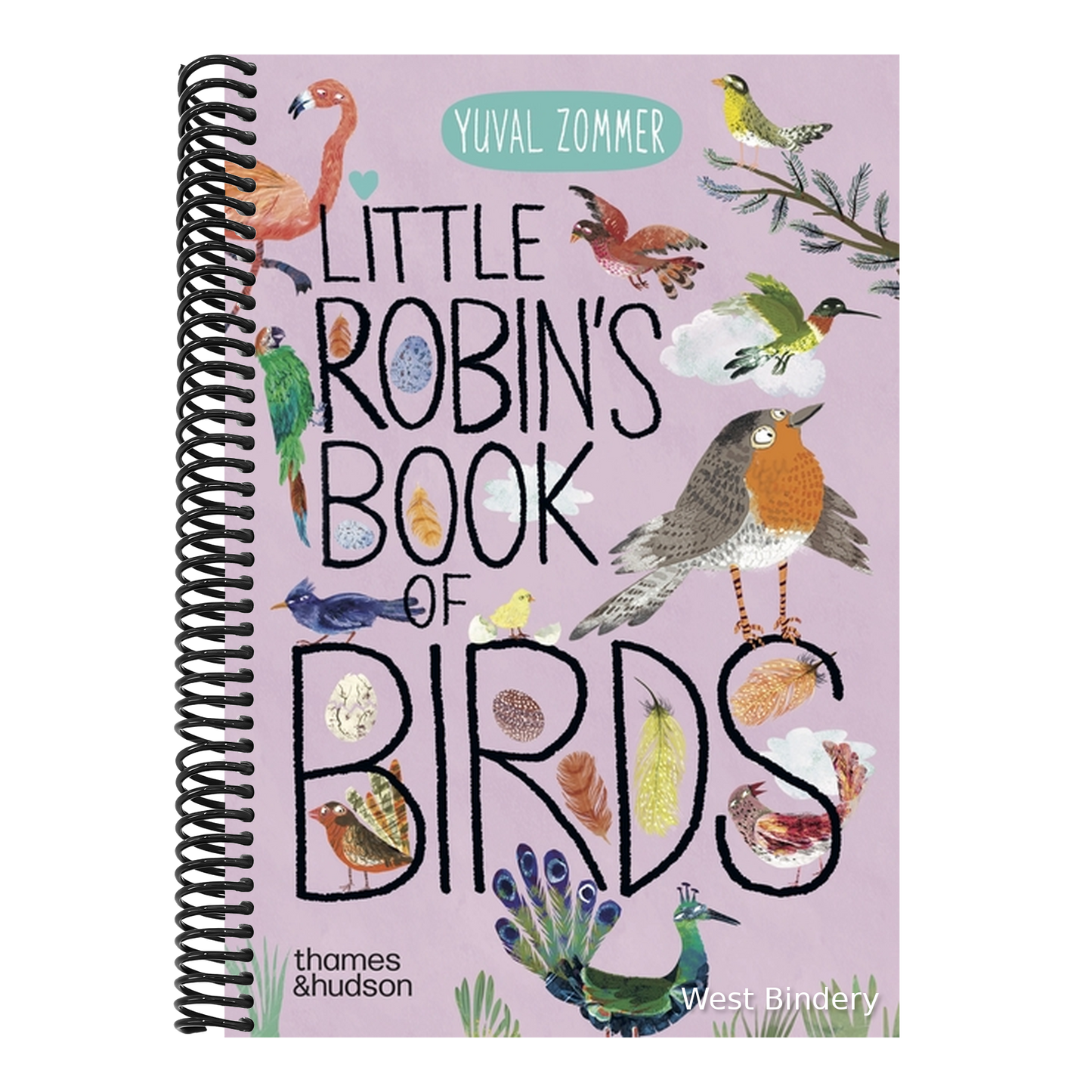 Little Robin's Book of Birds