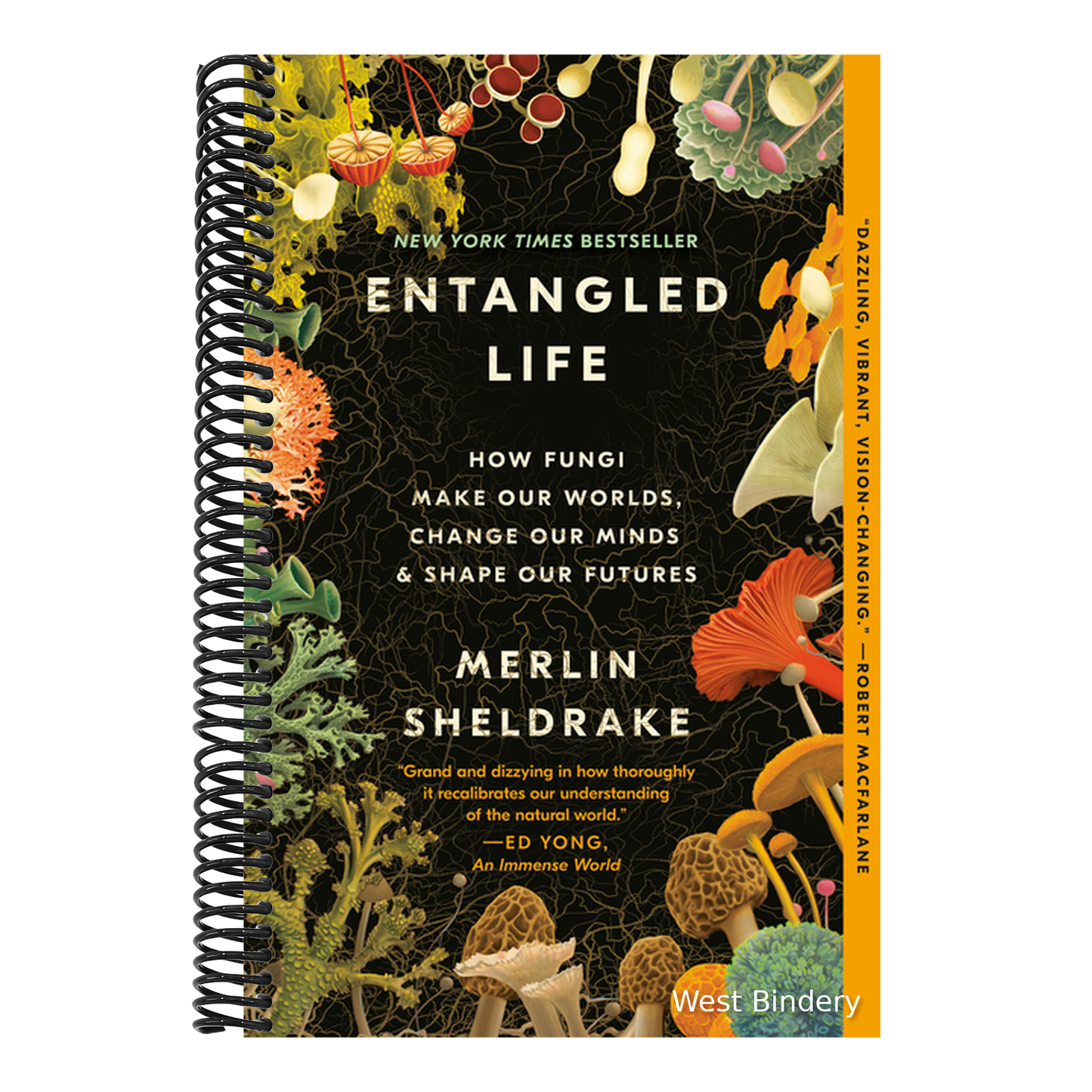 Entangled Life: How Fungi Make Our Worlds, Change Our Minds & Shape Our Futures