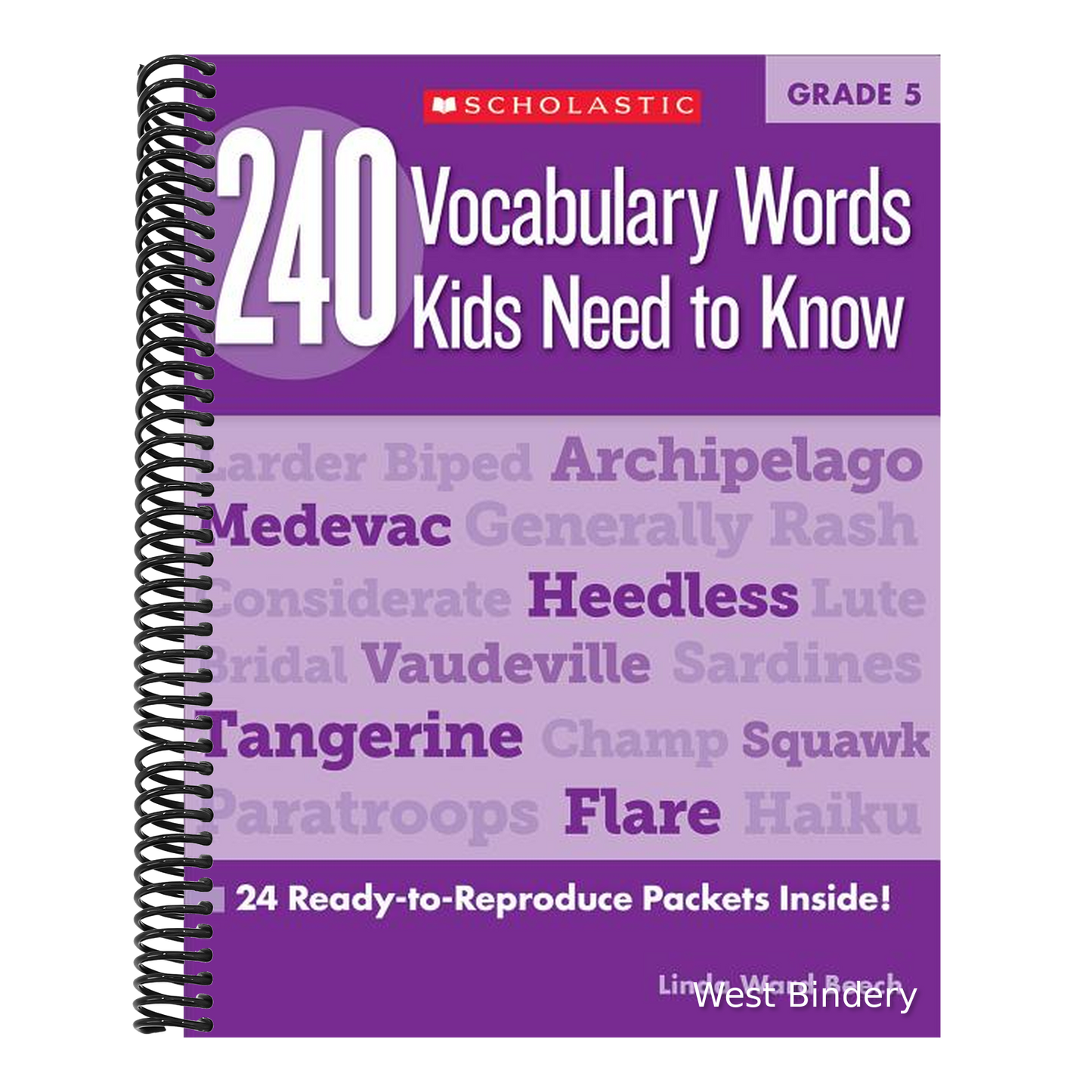 240 Vocabulary Words Kids Need to Know: Grade 5: 24 Ready-To-Reproduce Packets Inside!