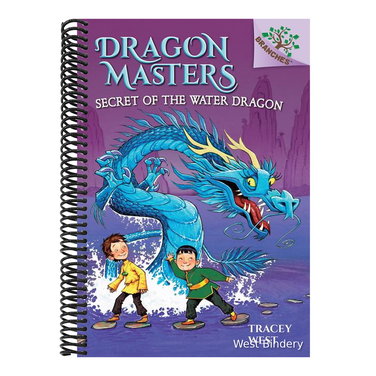Secret of the Water Dragon: A Branches Book (Dragon Masters #3): Volume 3 (Library)