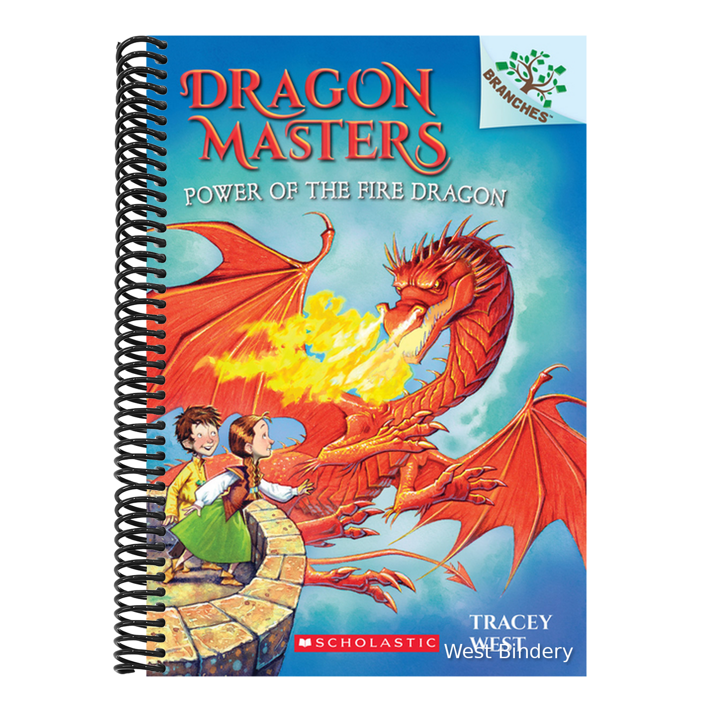 Power of the Fire Dragon: A Branches Book (Dragon Masters #4): Volume 4