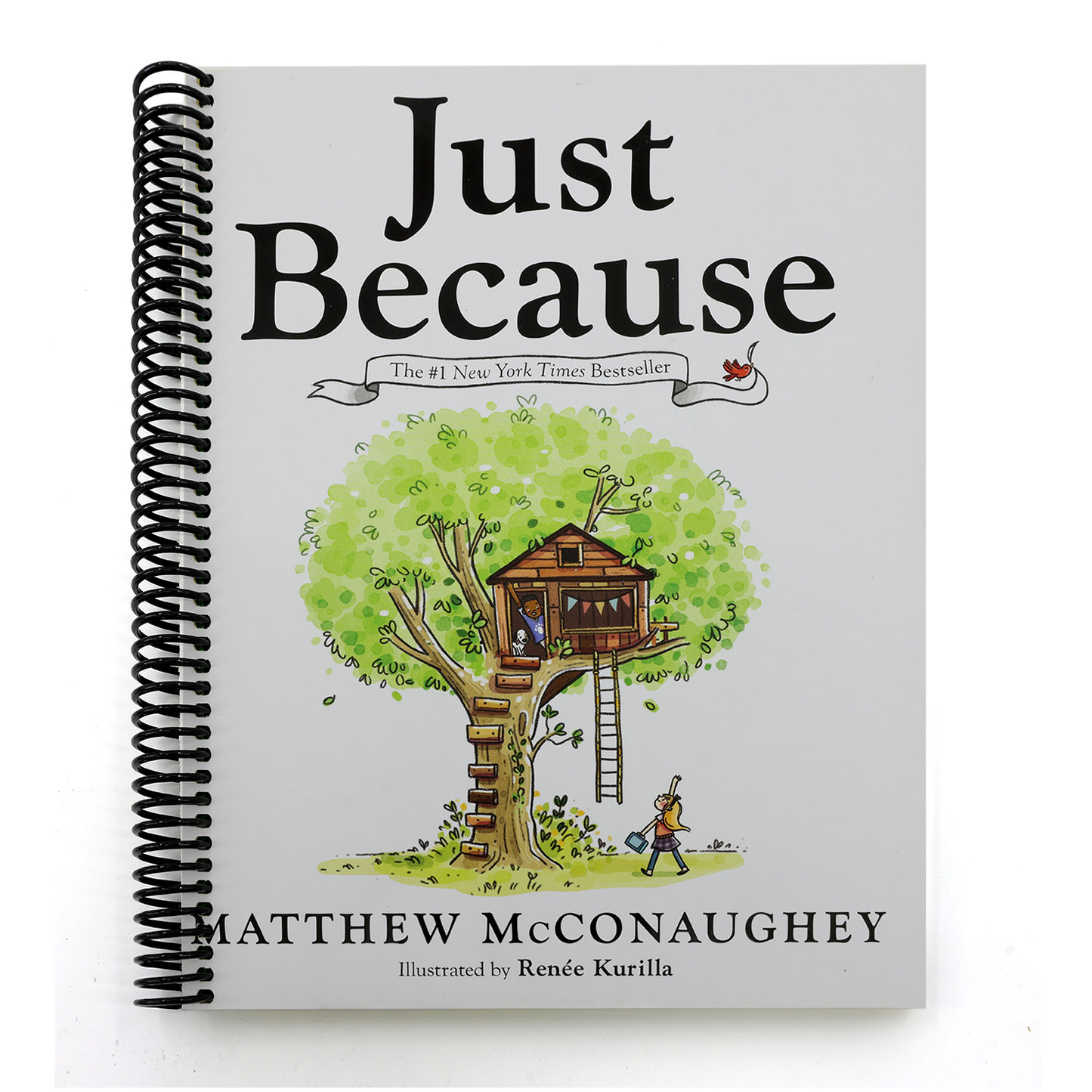 Just Because (Spiral Bound)