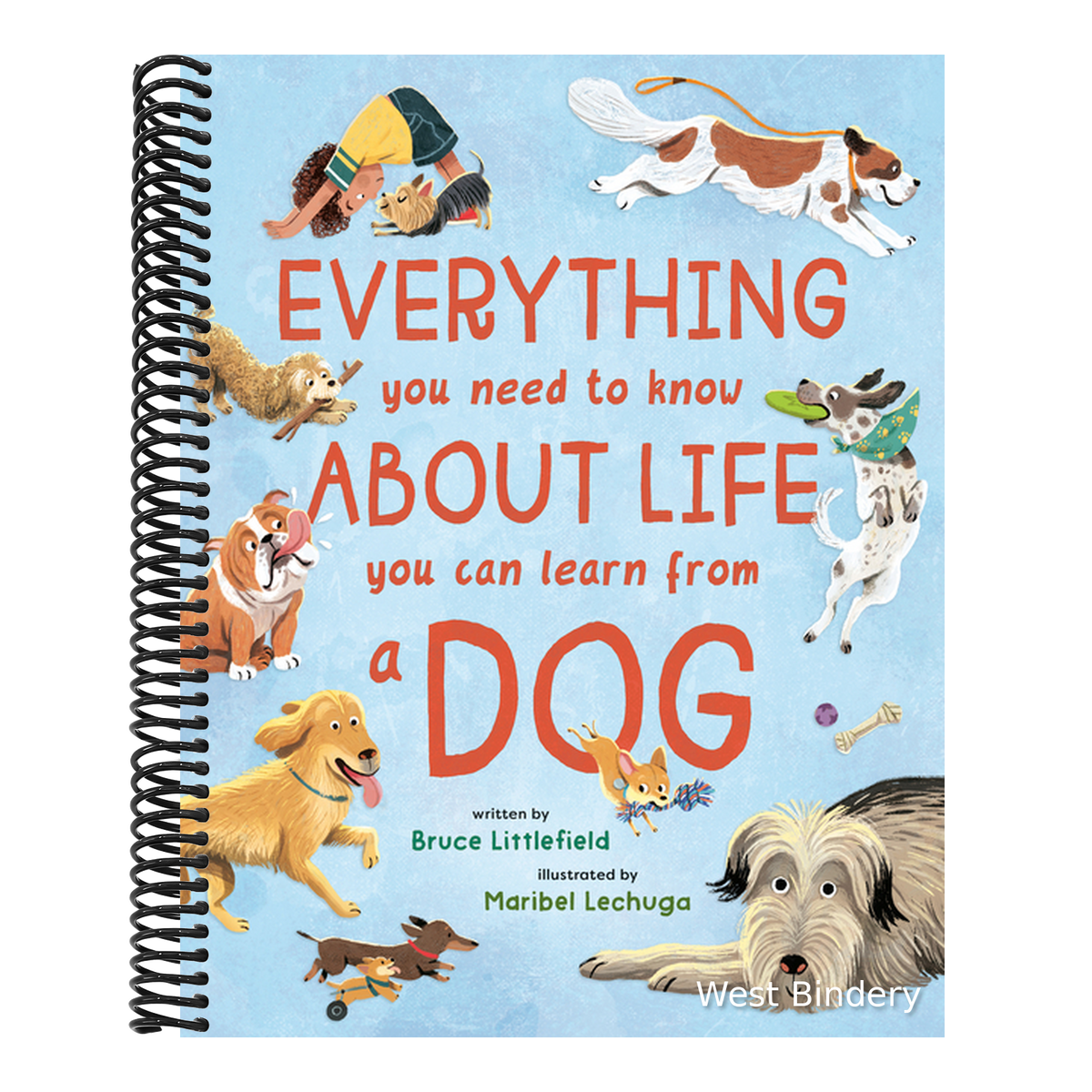 Everything You Need to Know about Life You Can Learn from a Dog
