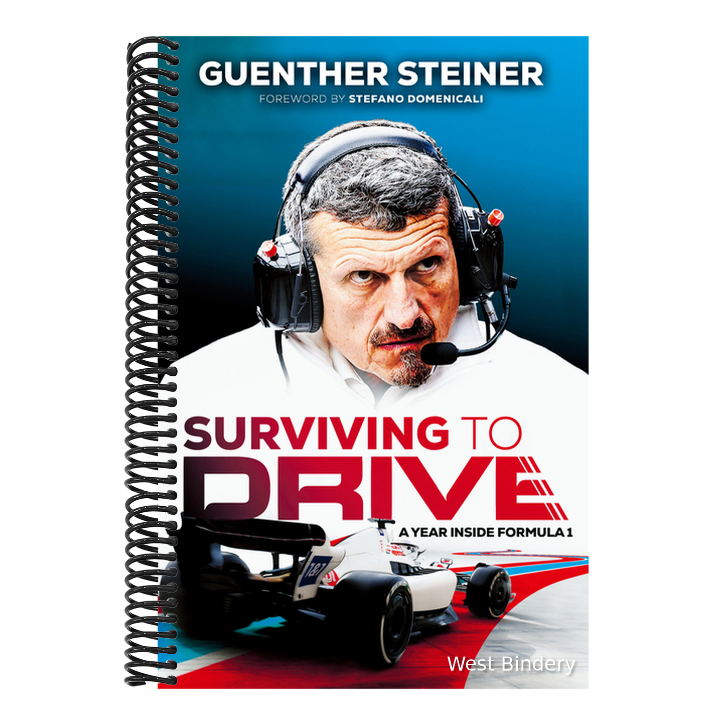 Surviving to Drive: A Year Inside Formula 1: An F1 Book