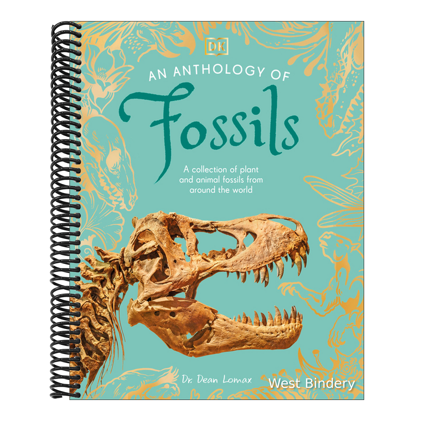 An Anthology of Fossils: A Collection of Plant and Animal Fossils from Around the World