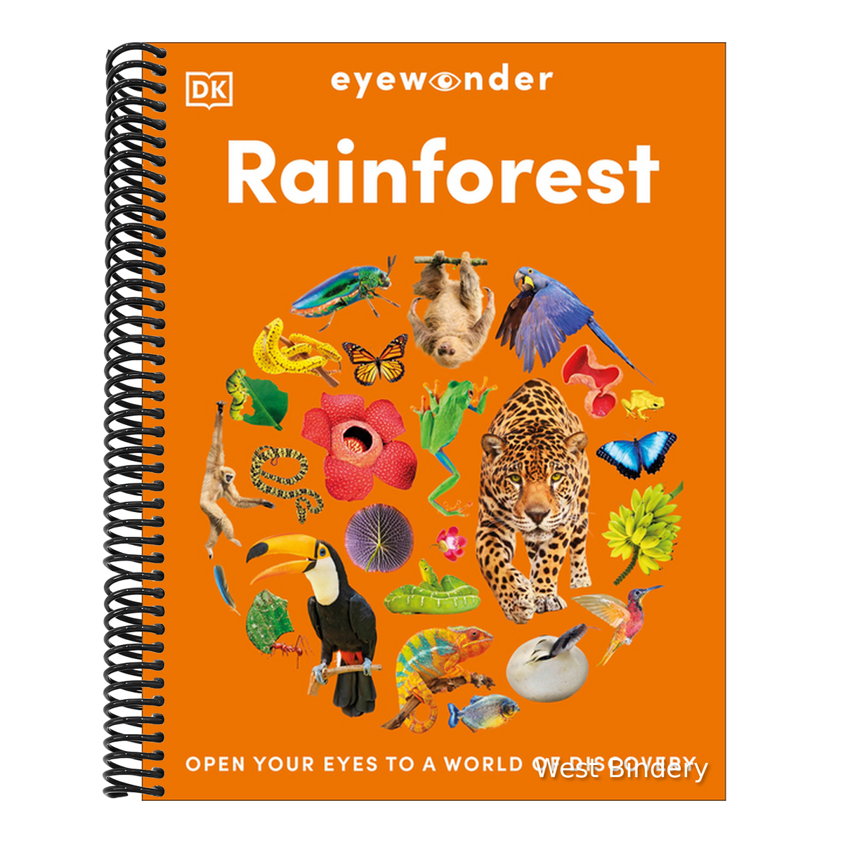 Eyewonder Rainforest: Open Your Eyes to a World of Discovery