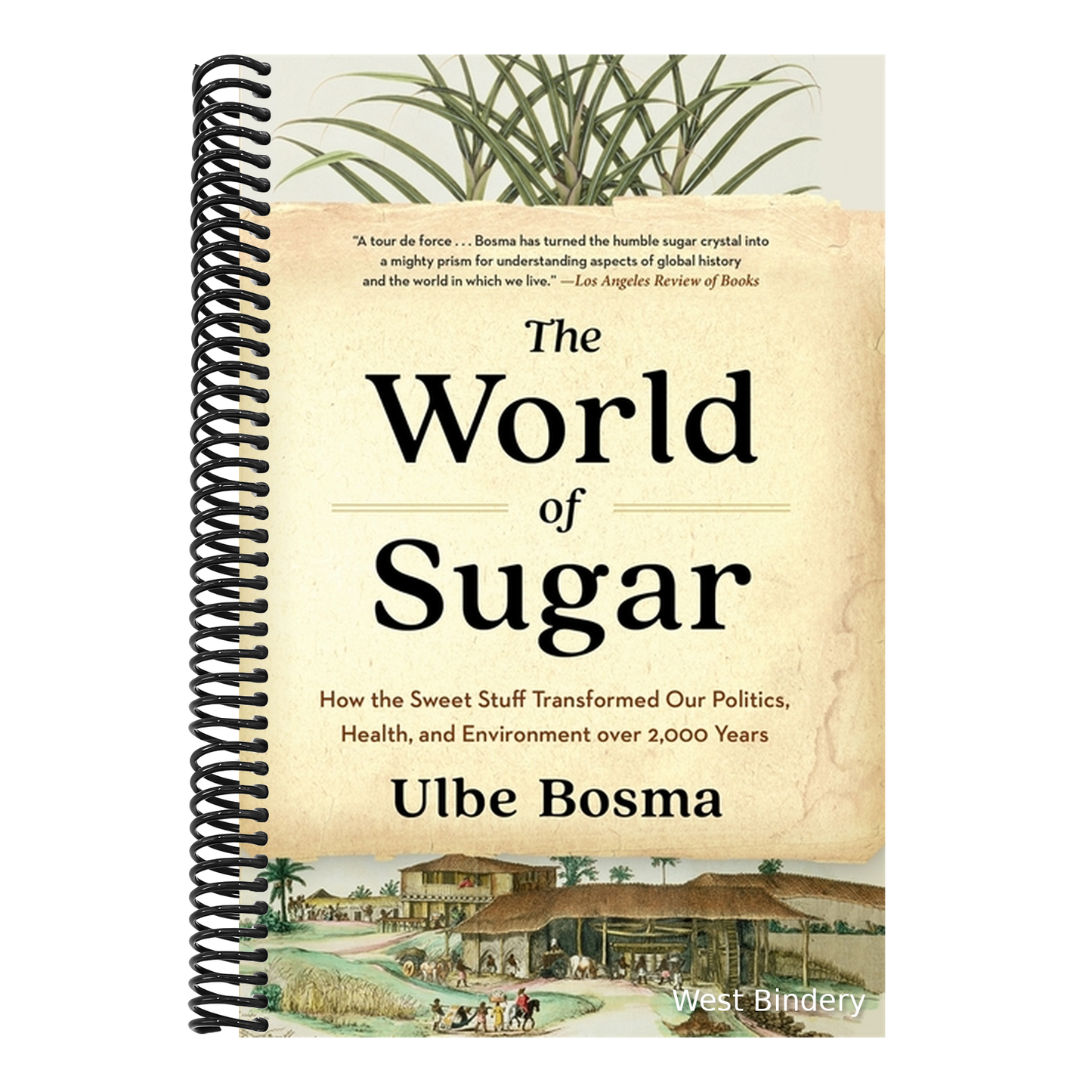 The World of Sugar: How the Sweet Stuff Transformed Our Politics, Health, and Environment Over 2,000 Years