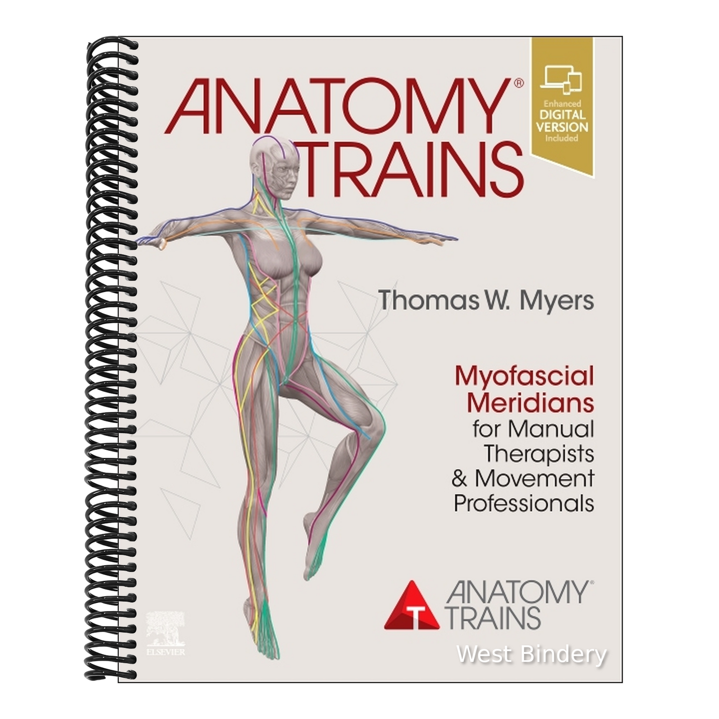 Anatomy Trains: Myofascial Meridians for Manual Therapists and Movement Professionals