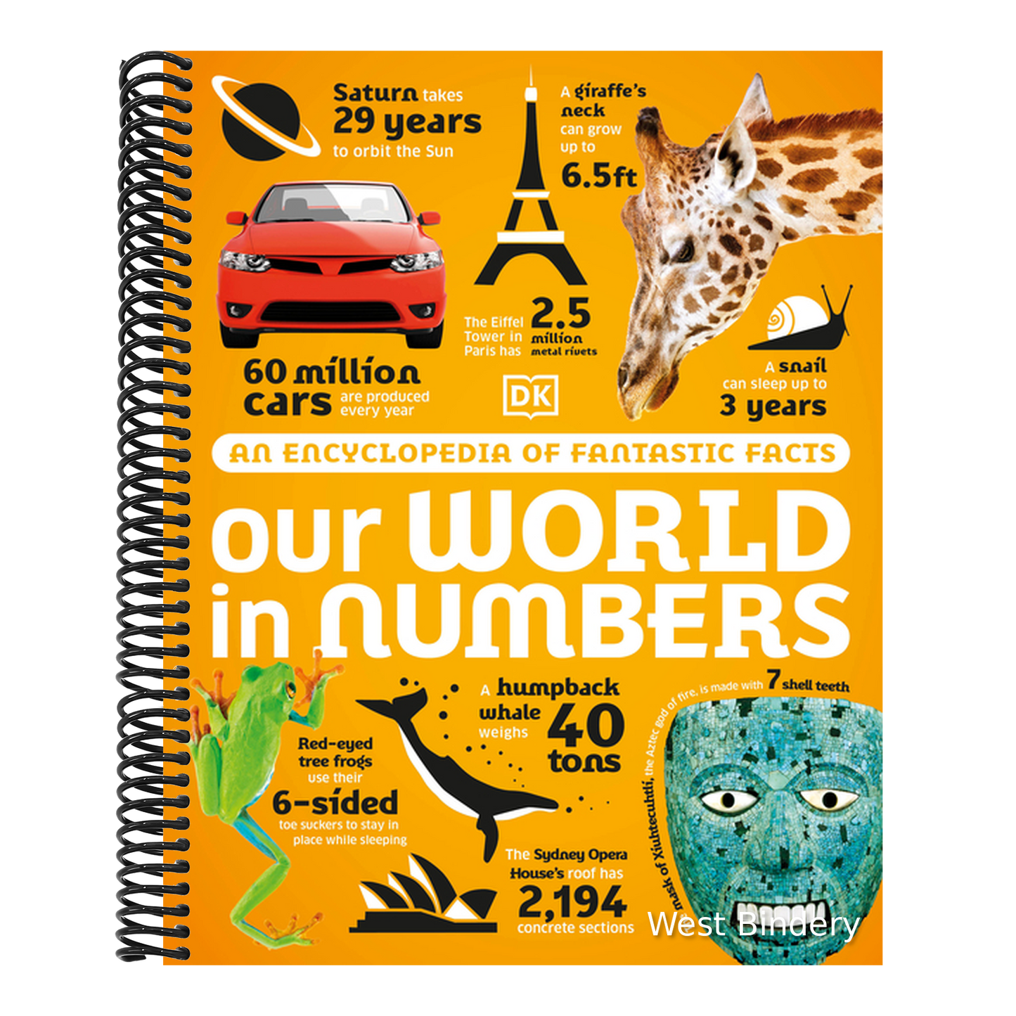Our World in Numbers