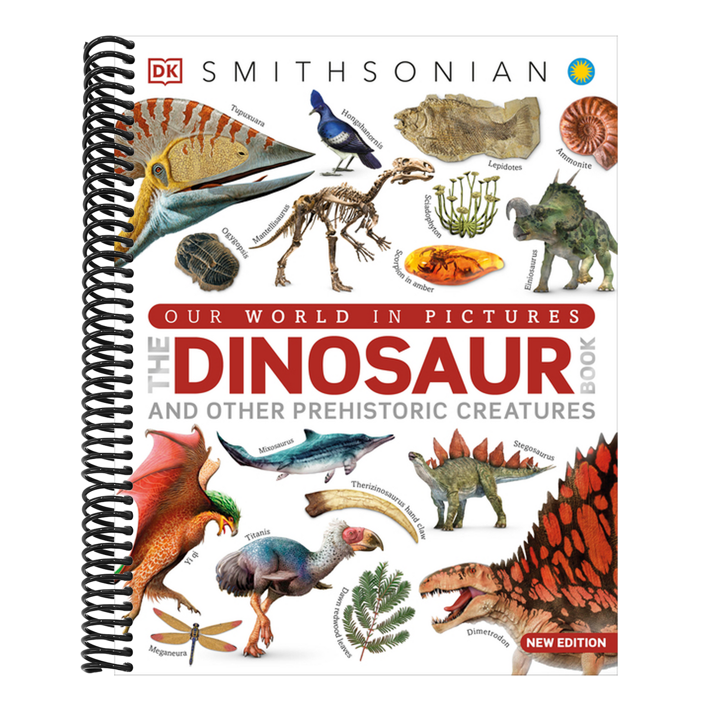 Our World in Pictures the Dinosaur Book (DK Our World in Pictures) (Spiral Bound)