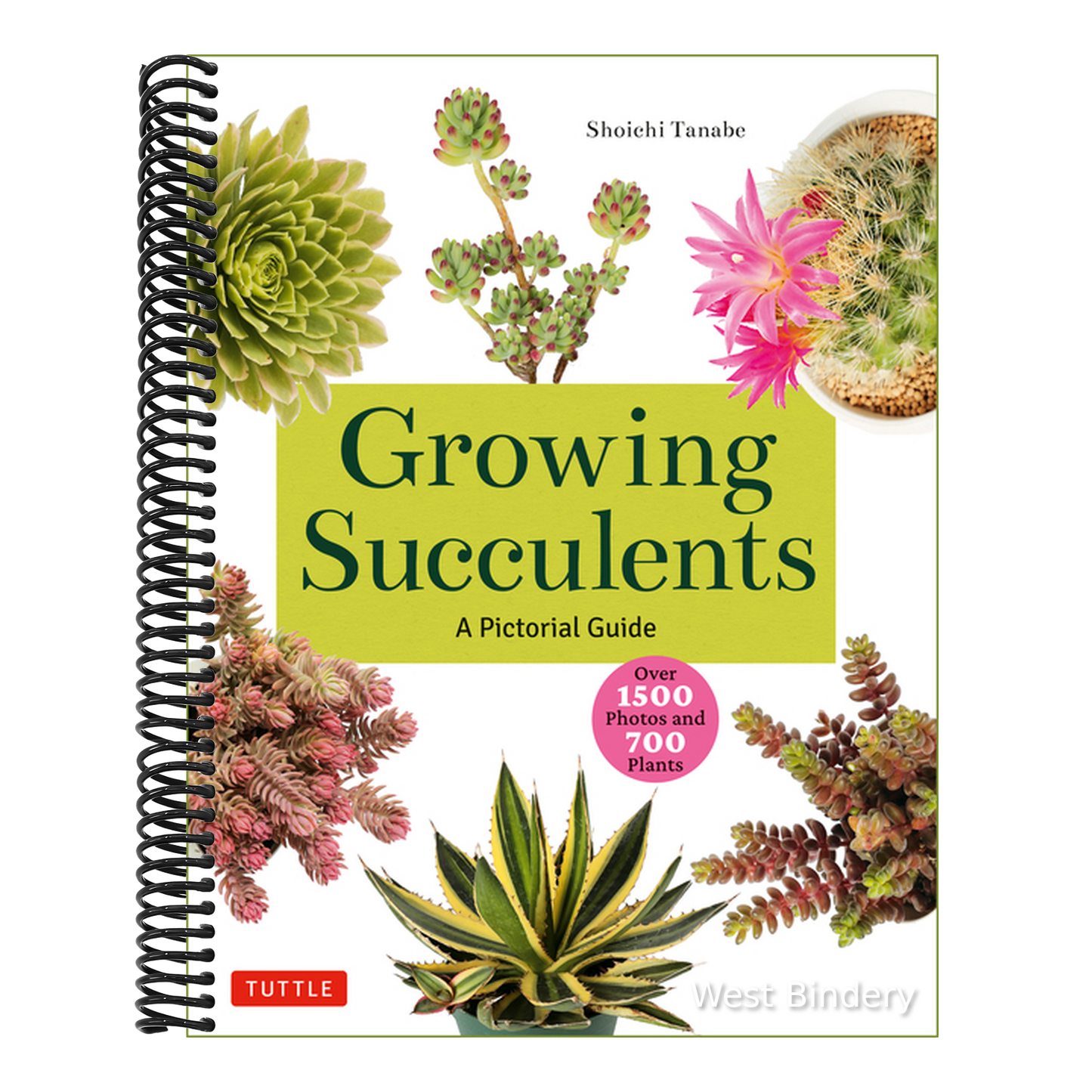 Growing Succulents: A Pictorial Guide (Over 1,500 Photos and 700 Plants)