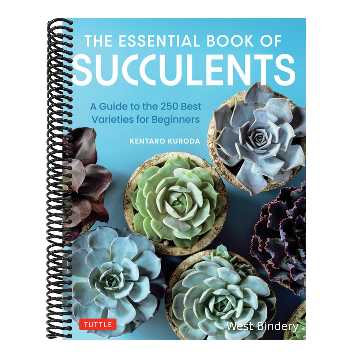 The Essential Book of Succulents: A Guide to the 250 Best Varieties for Beginners