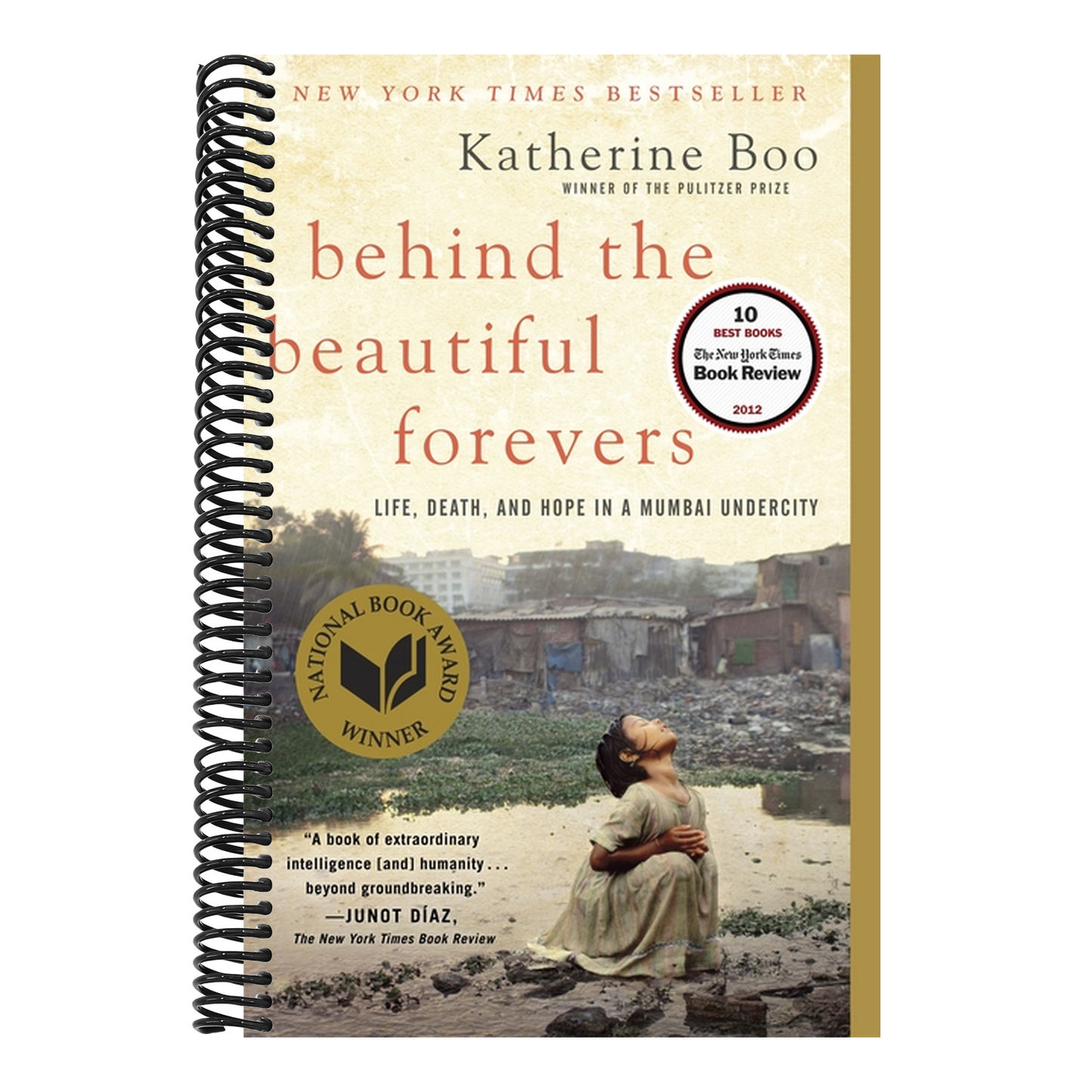 Behind the Beautiful Forevers
