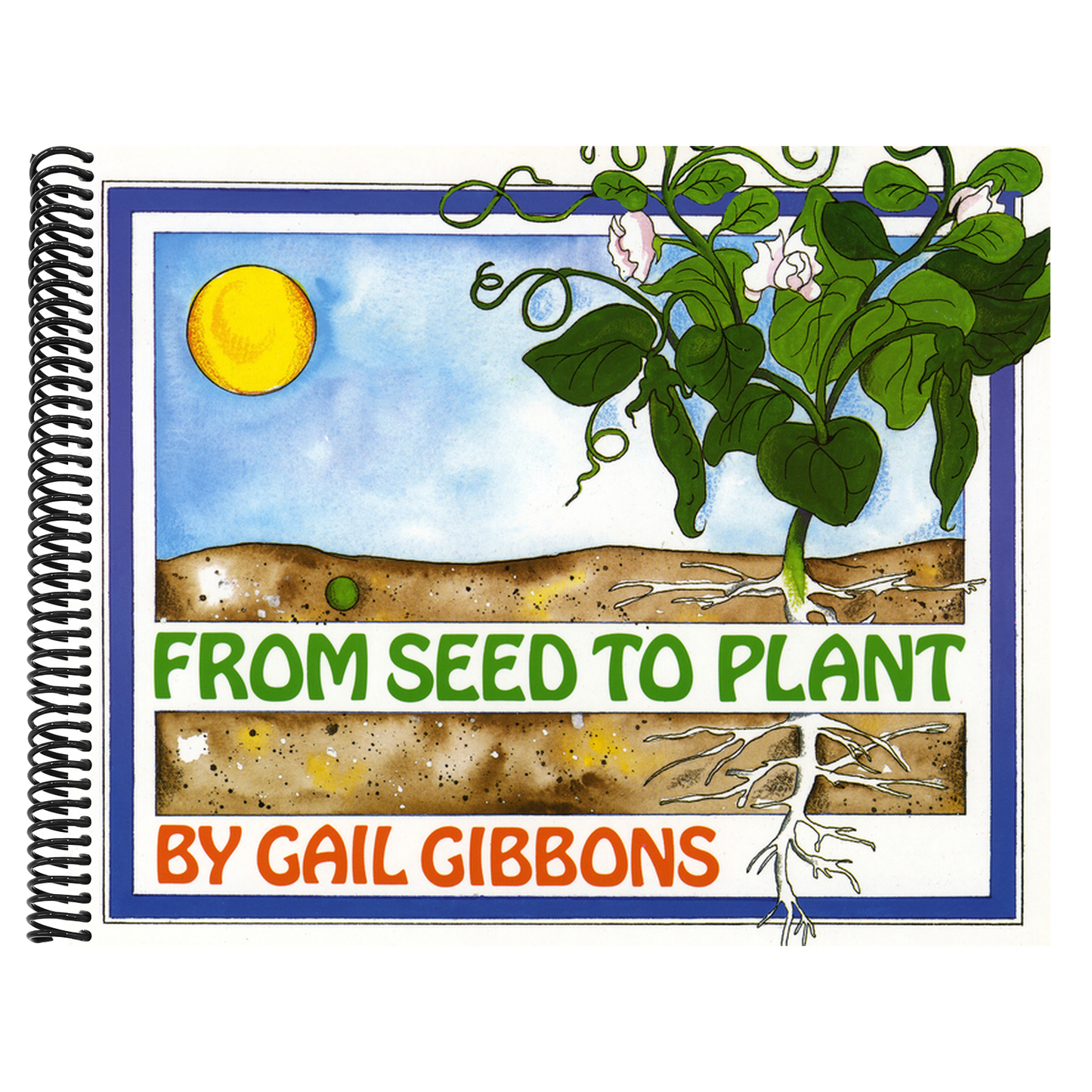 From Seed to Plant