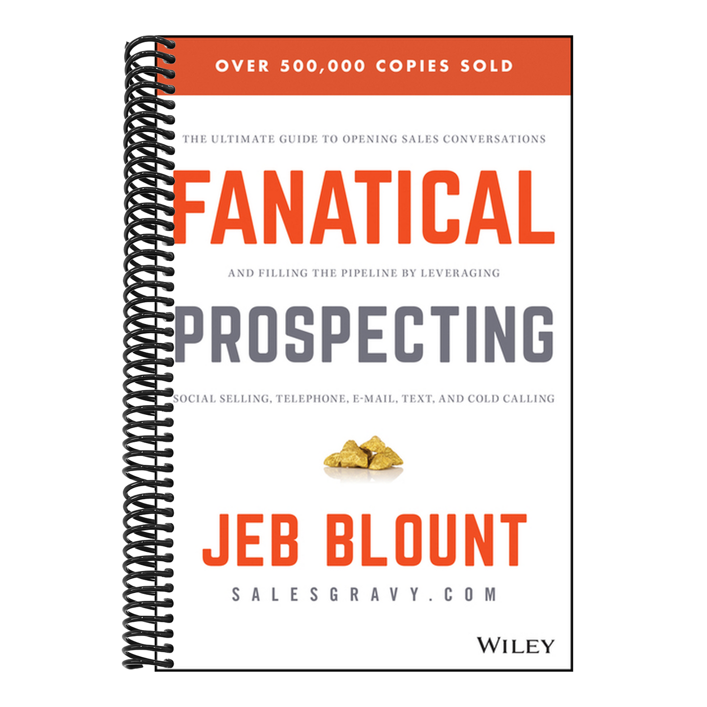 Fanatical Prospecting: The Ultimate Guide to Opening Sales Conversations and Filling the Pipeline by Leveraging Social Selling, Telephone, Email, Text