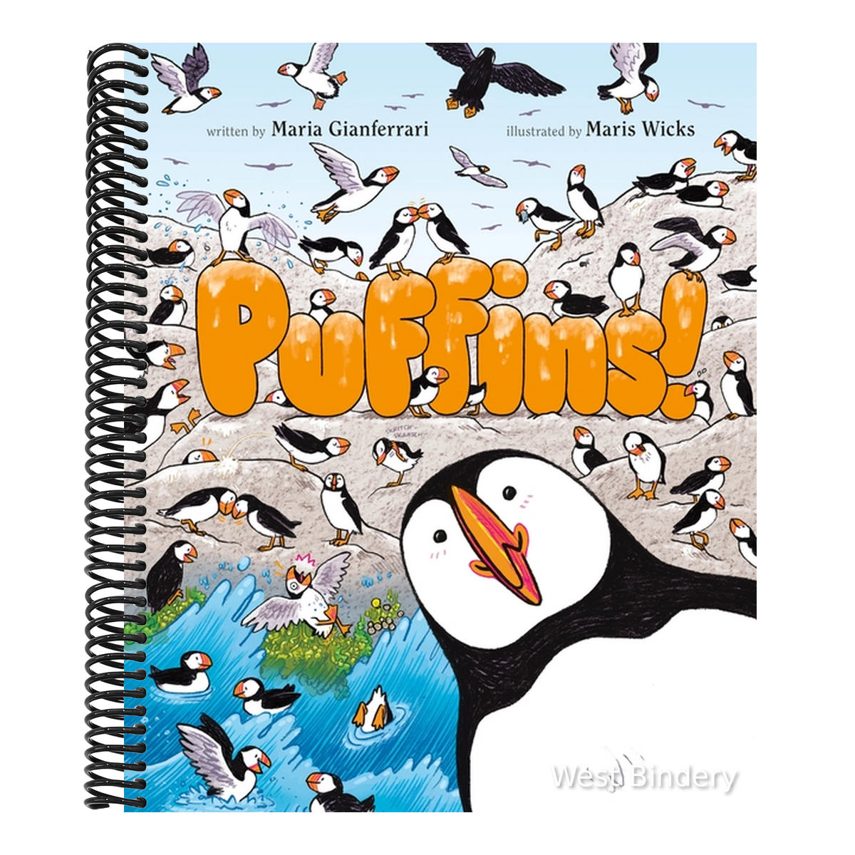 Puffins!