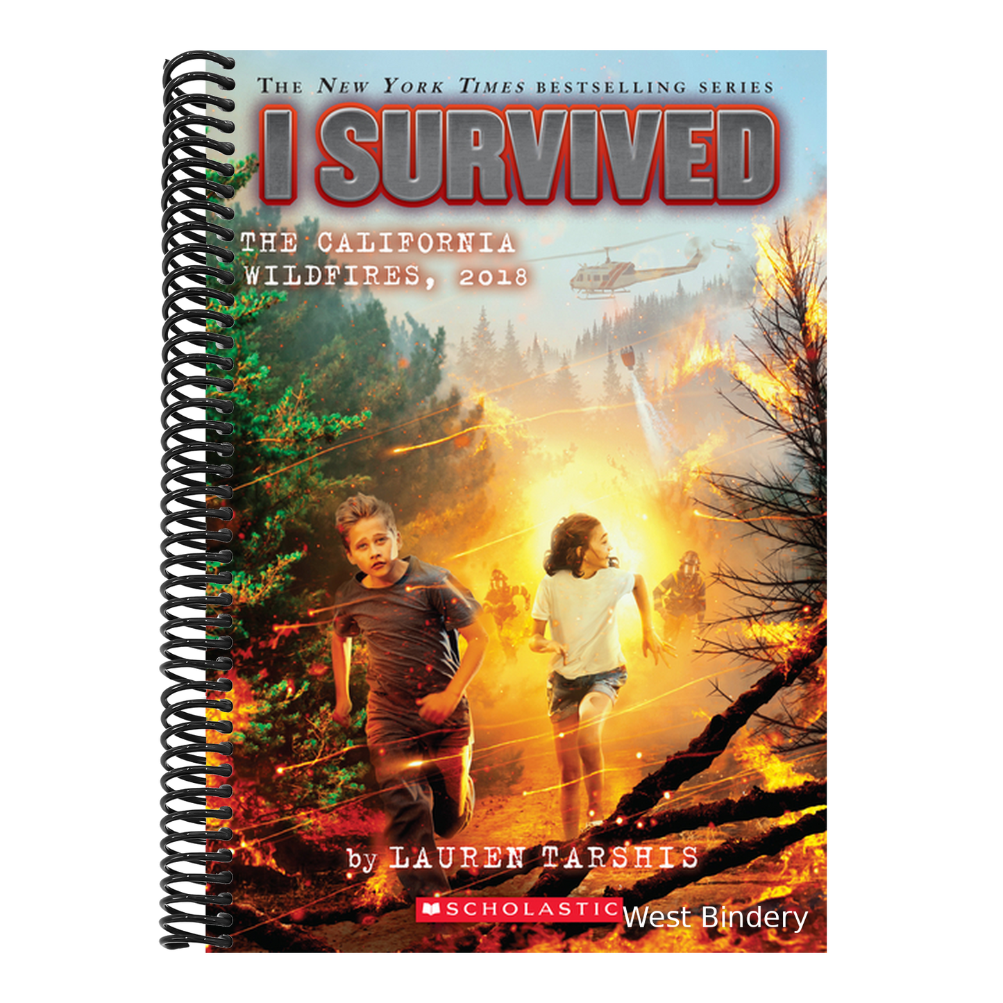 I Survived the California Wildfires, 2018 (I Survived #20)