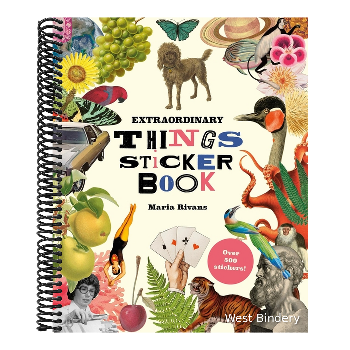 Extraordinary Things Sticker Book
