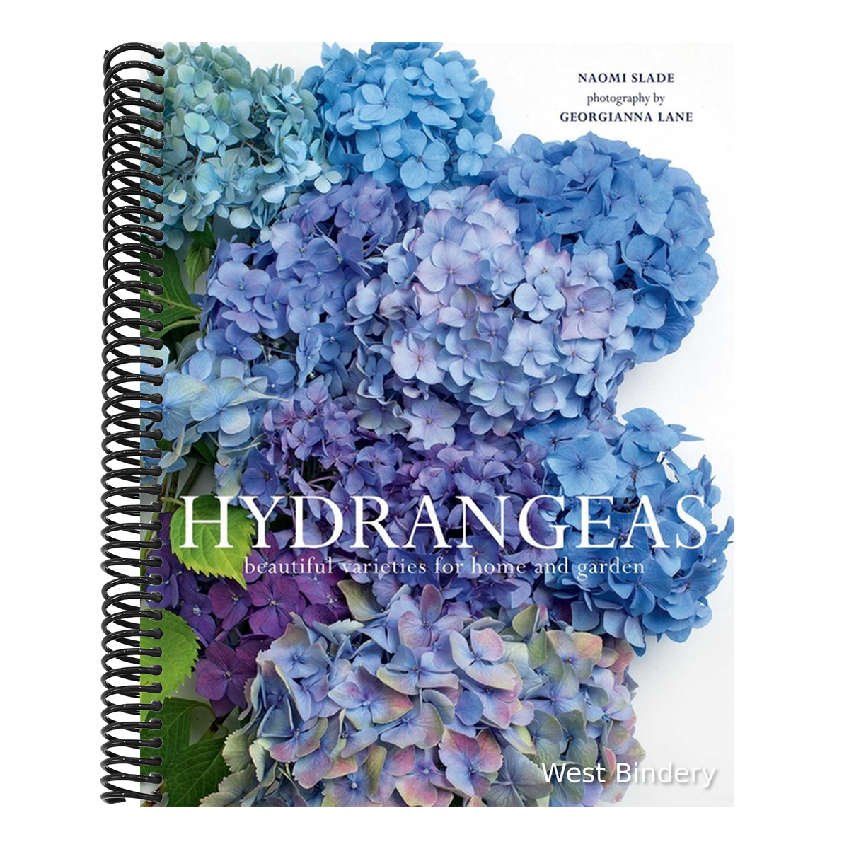 Hydrangeas: Beautiful Varieties for Home and Garden