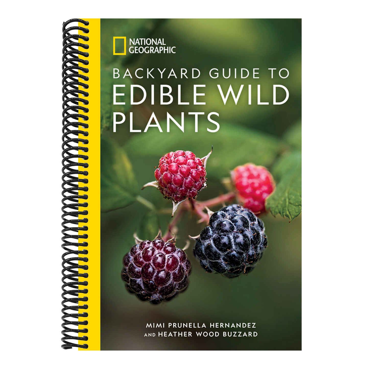 National Geographic Backyard Guide to Edible Wild Plants (National Geographic Backyard Guides)