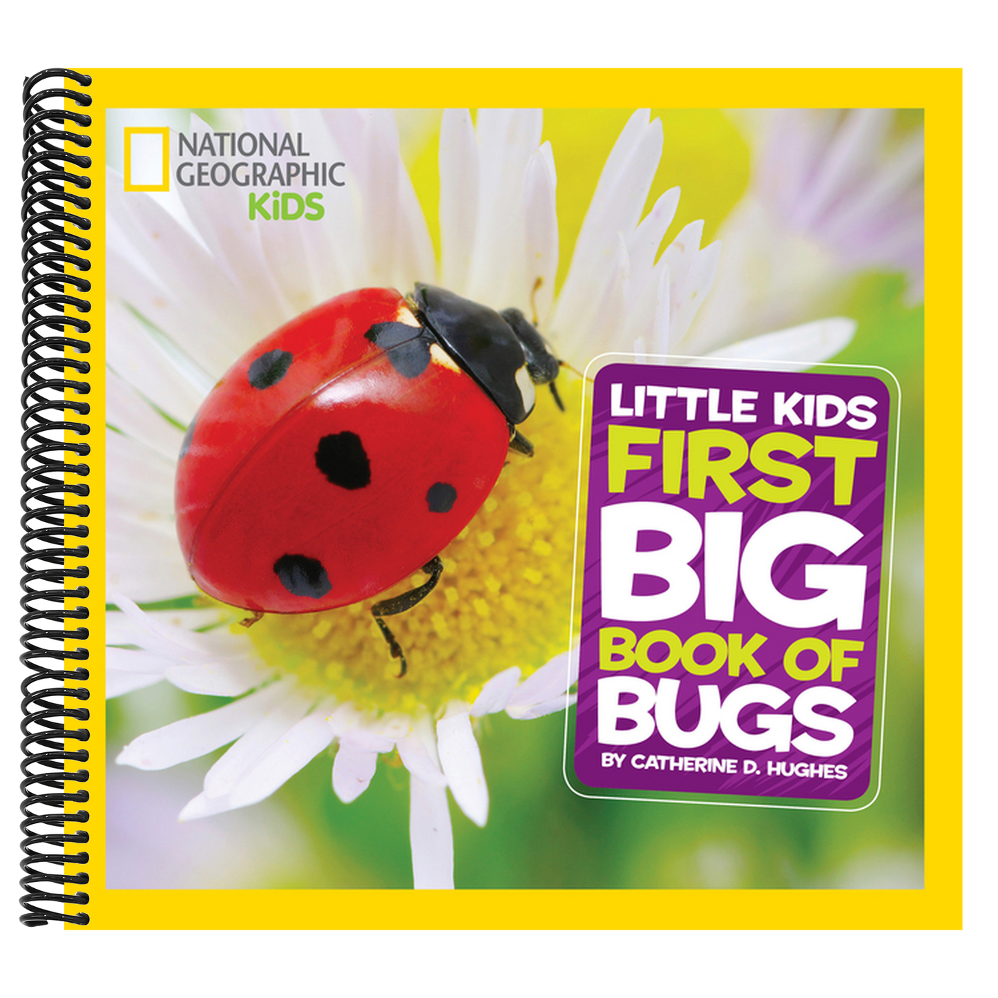 Little Kids First Big Book of Bugs (National Geographic Little Kids First Big Books) (Spiral Bound)