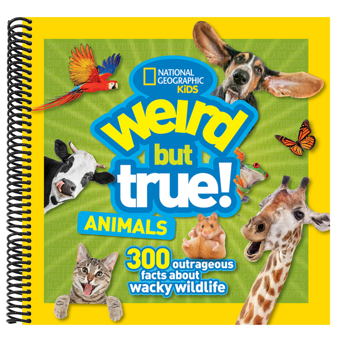 Weird But True! Animals (Weird But True!) (Spiral Bound)