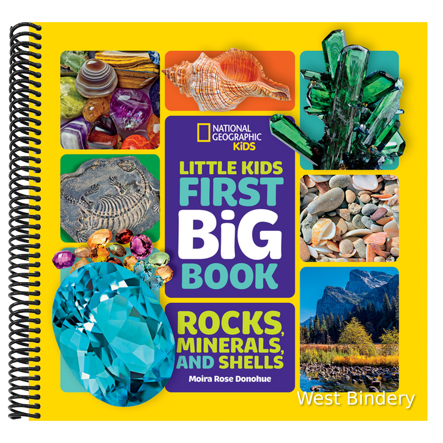 National Geographic Little Kids First Big Book of Rocks, Minerals & Shells