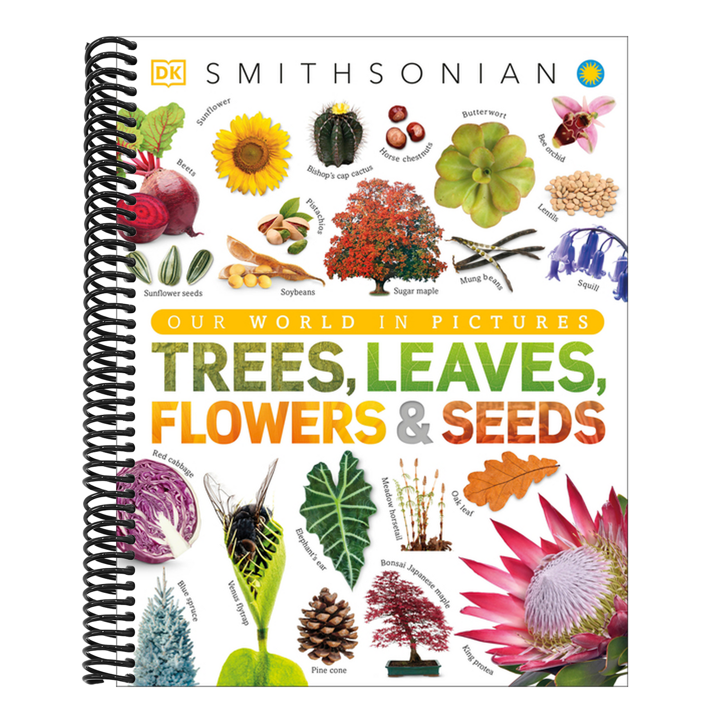 Trees, Leaves, Flowers and Seeds: A Visual Encyclopedia of the Plant Kingdom (DK Our World in Pictures) (Spiral Bound)