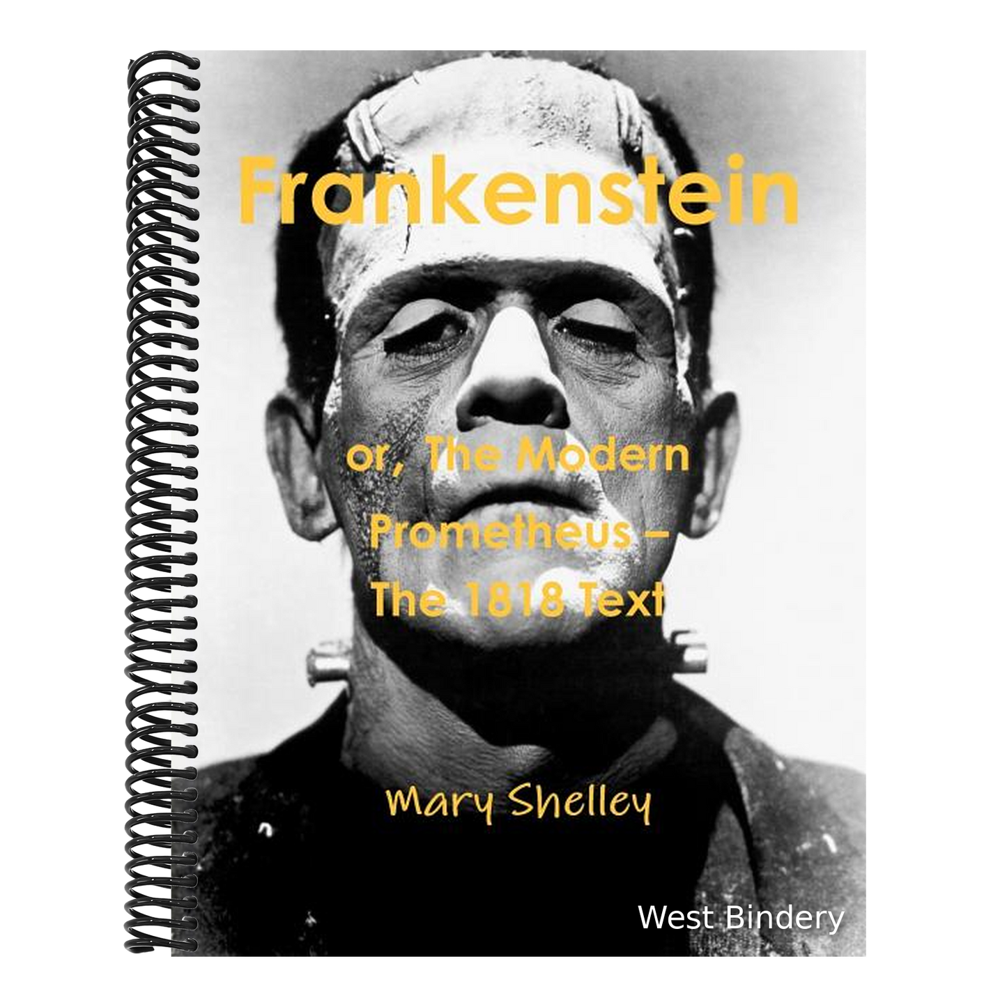 Frankenstein or the Modern Prometheus - The 1818 Text