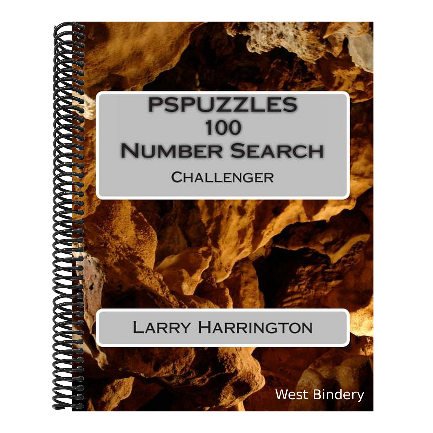 PSPUZZLES 100 Number Search Puzzles Challenger