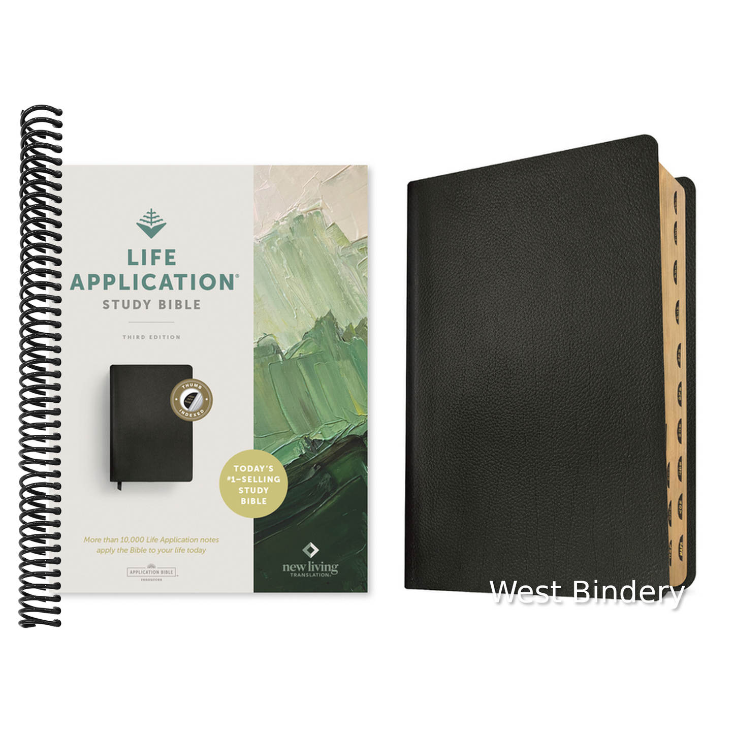 NLT Life Application Study Bible, Third Edition (Genuine Leather, Black, Indexed, Red Letter)