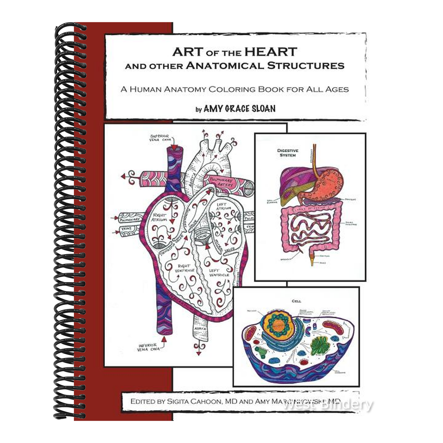 ART of the HEART and other Anatomical Structures: A Human Anatomy Coloring Book