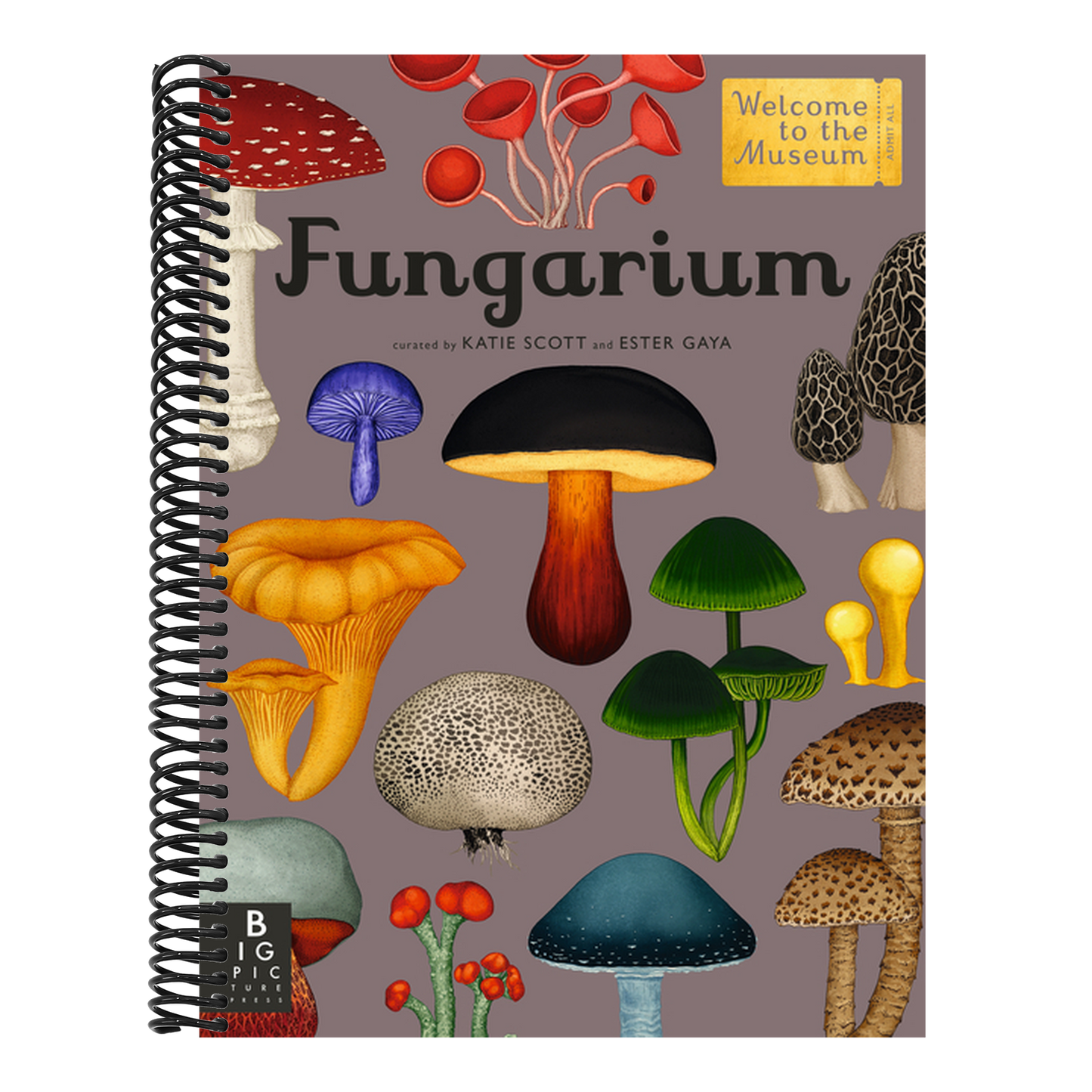 Fungarium: Welcome to the Museum (Welcome to the Museum) (Spiral Bound)