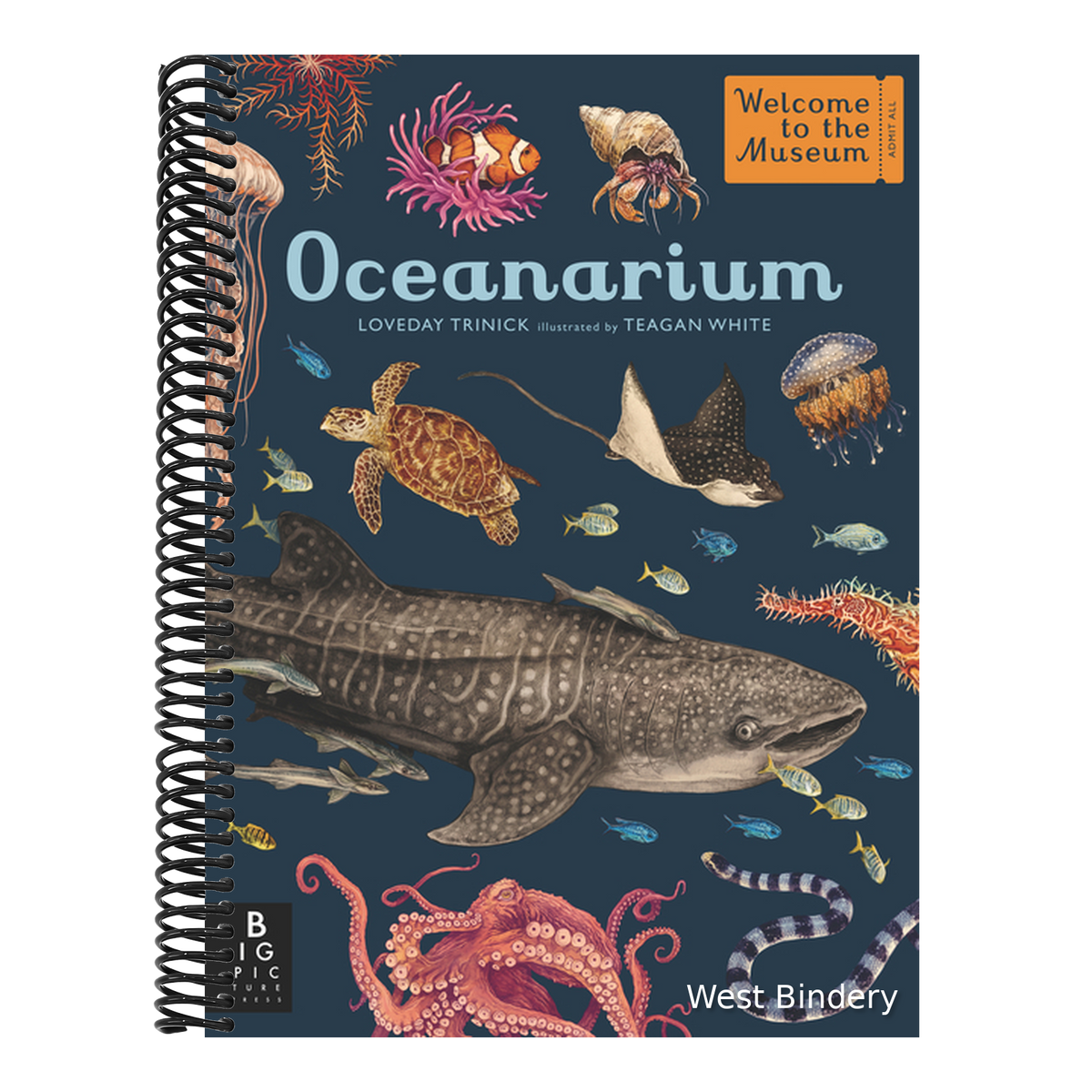 Oceanarium: Welcome to the Museum