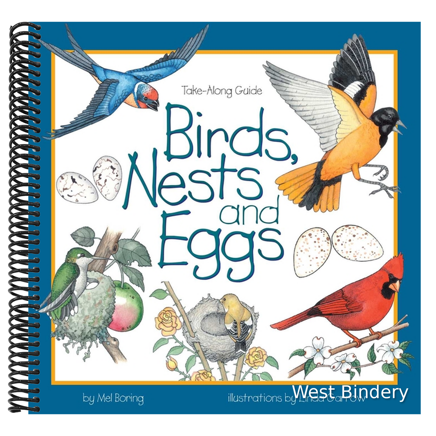 Birds, Nests & Eggs