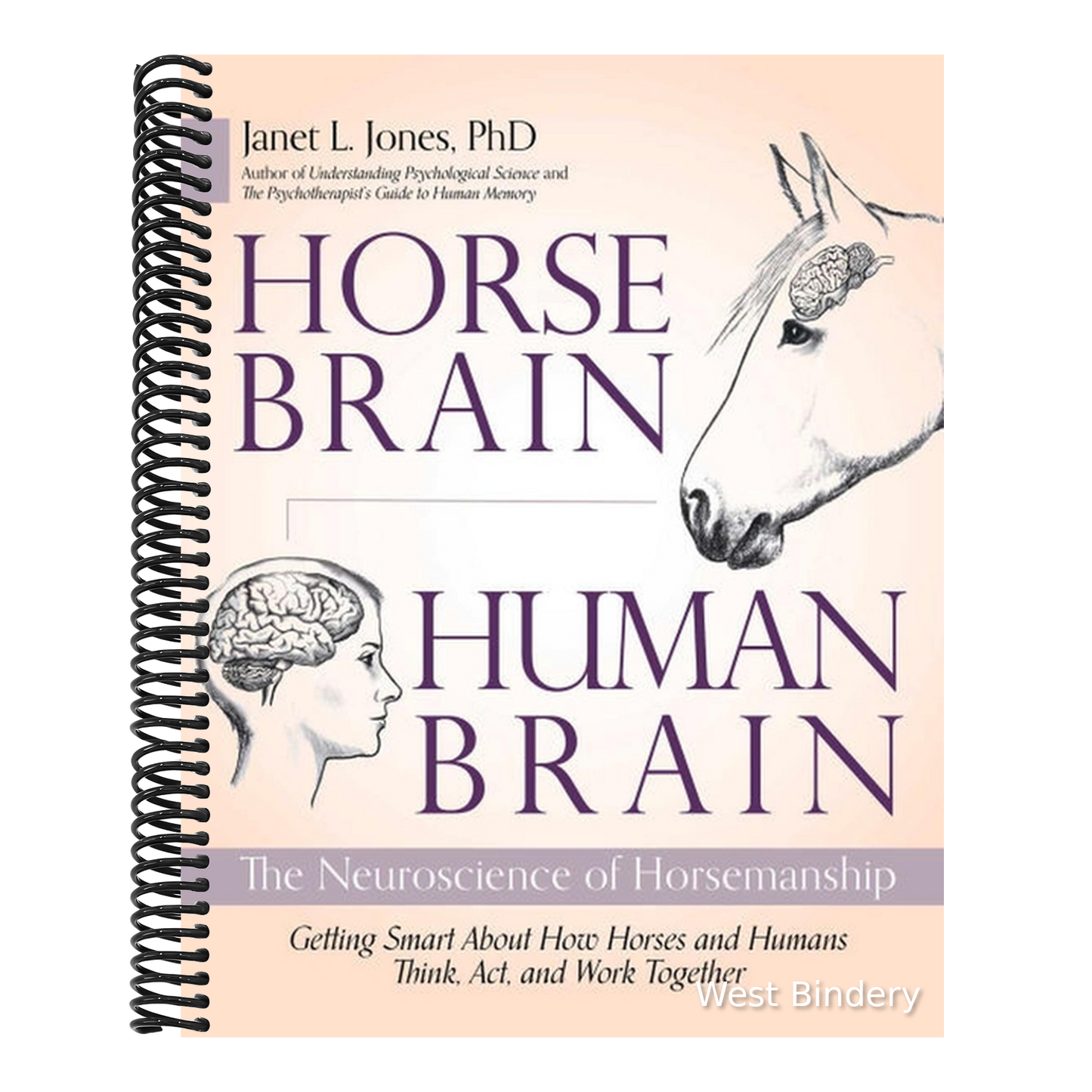 Horse Brain, Human Brain: The Neuroscience of Horsemanship