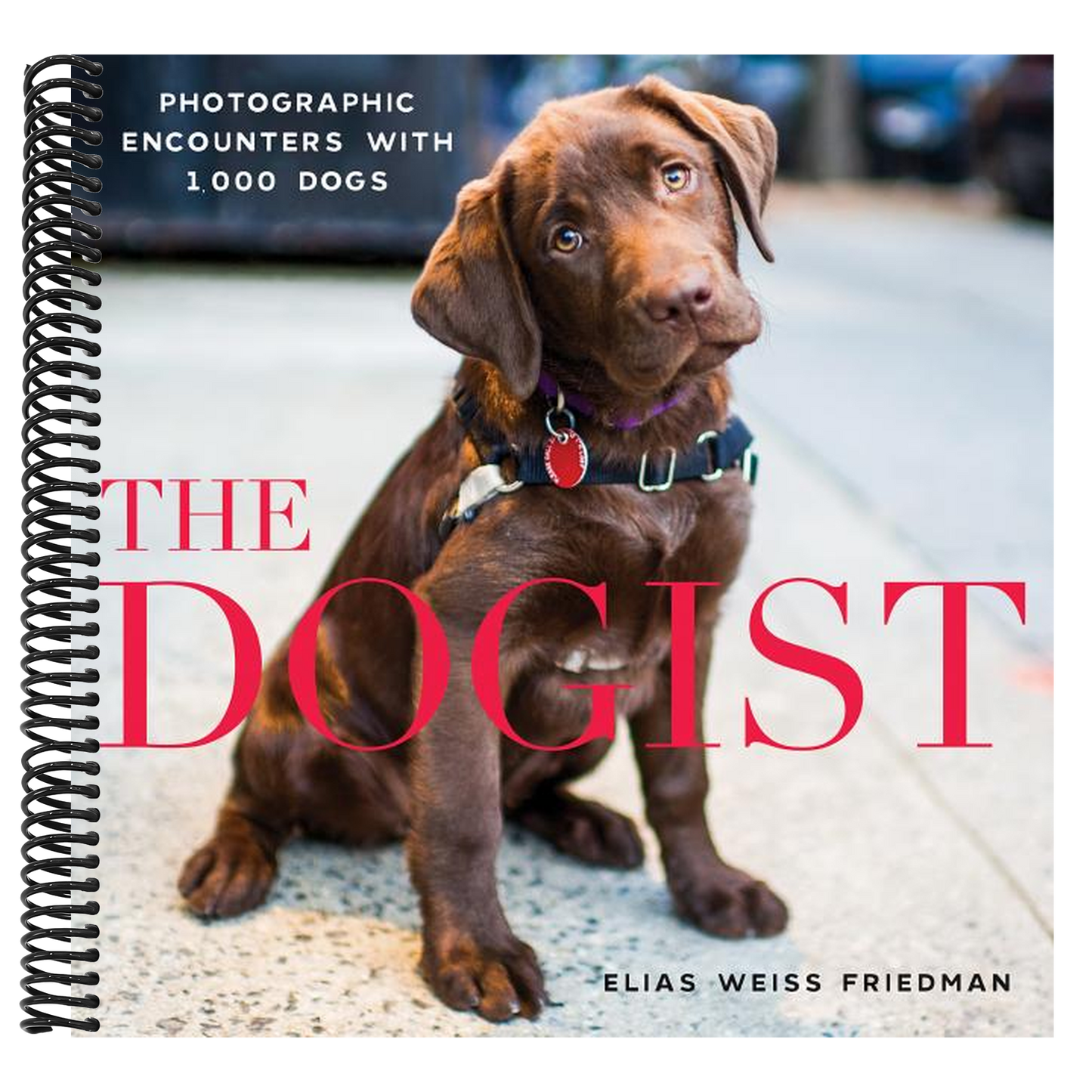 The Dogist: Photographic Encounters with 1,000 Dogs (Spiral Bound)