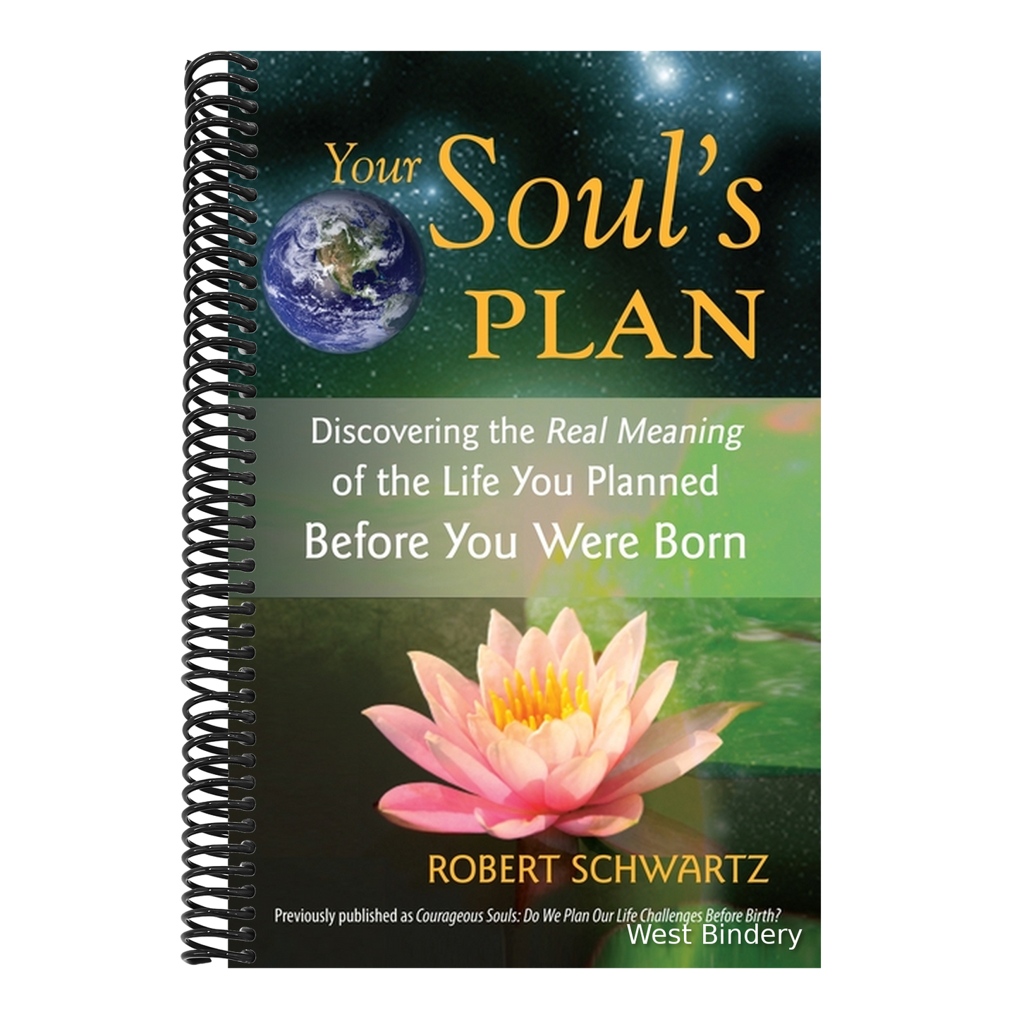Your Soul's Plan: Discovering the Real Meaning of the Life You Planned Before You Were Born