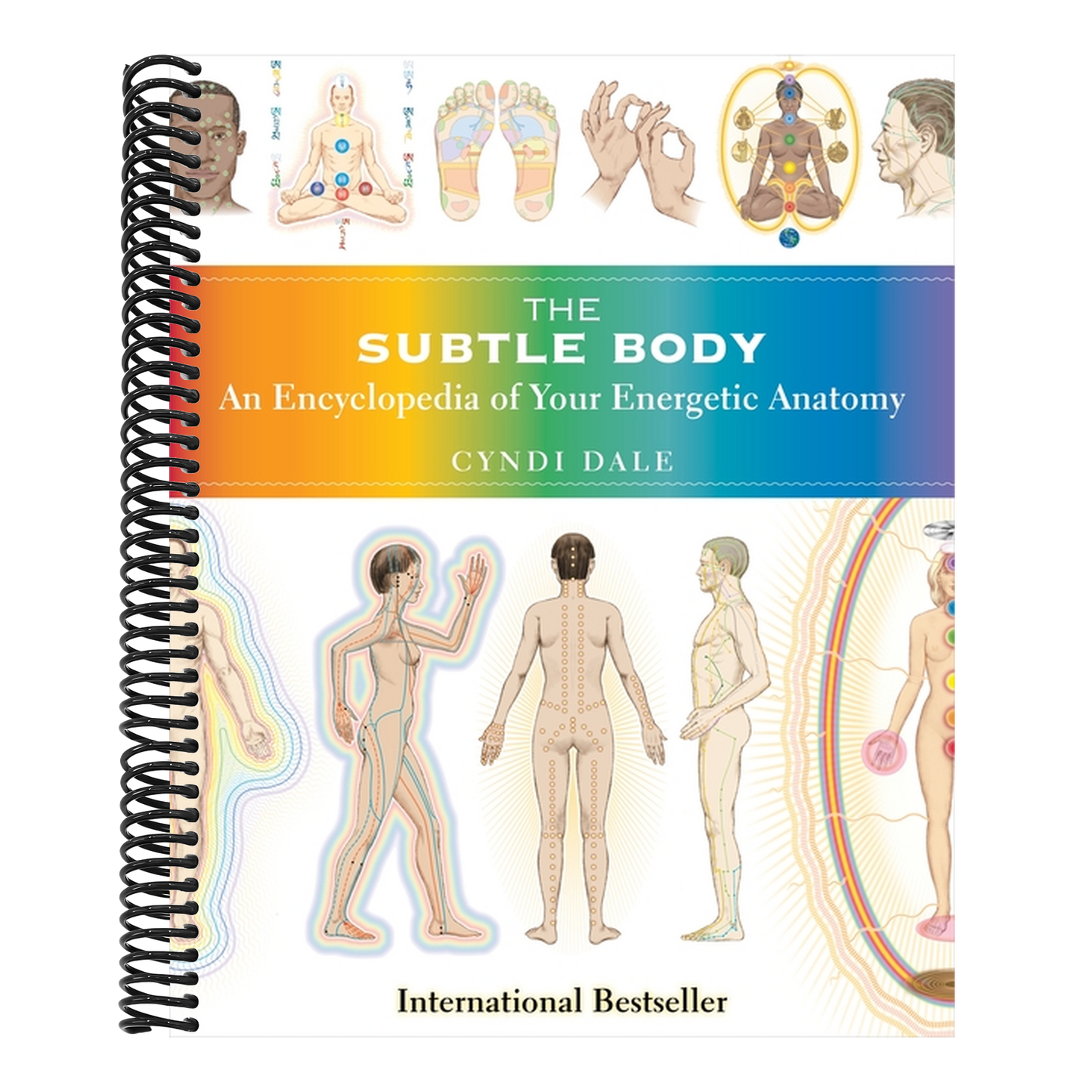 The Subtle Body: An Encyclopedia of Your Energetic Anatomy (Spiral Bound)