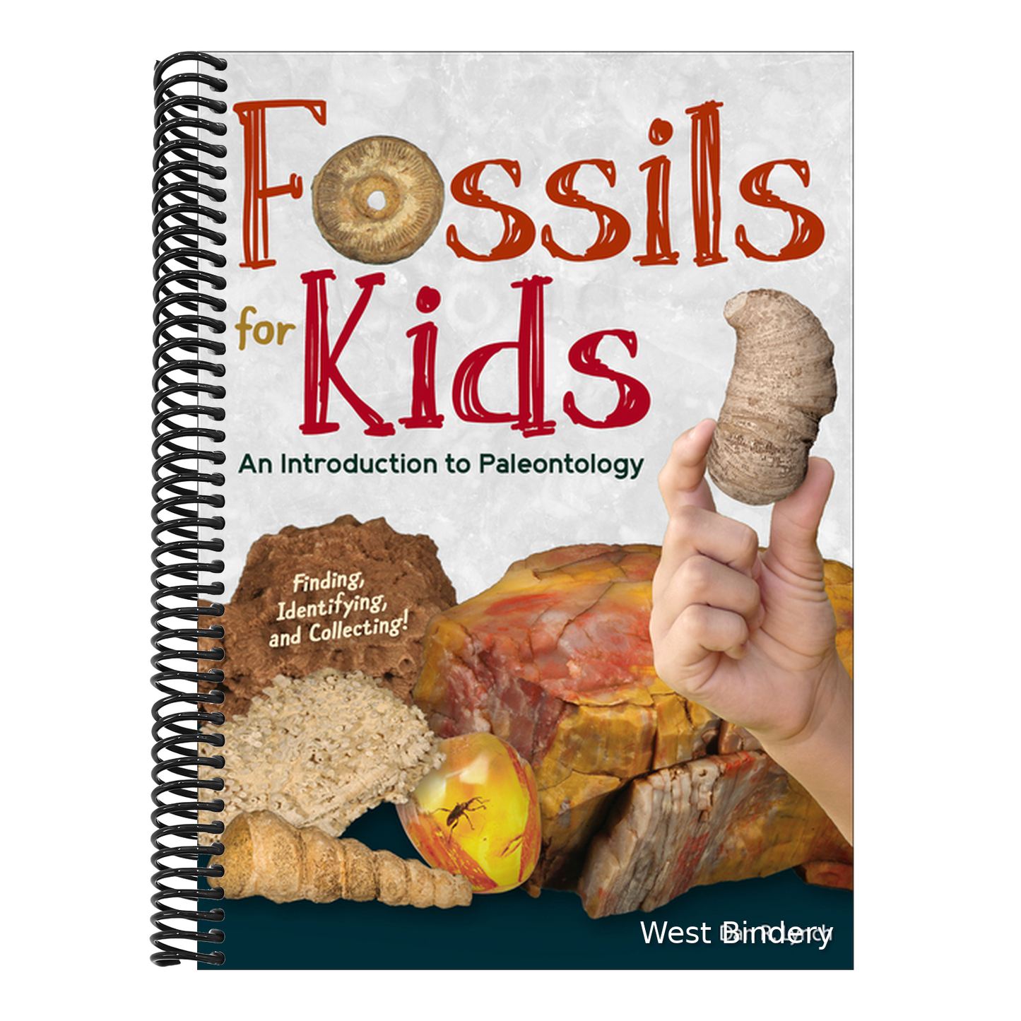 Fossils for Kids: An Introduction to Paleontology