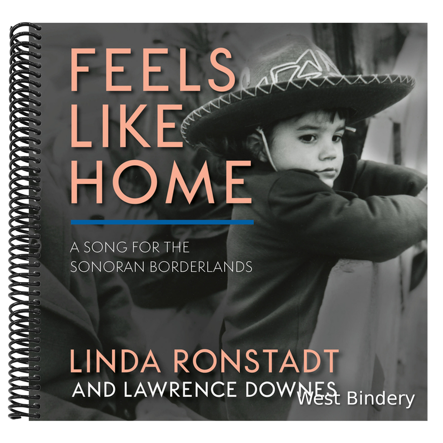 Feels Like Home: A Song for the Sonoran Borderlands