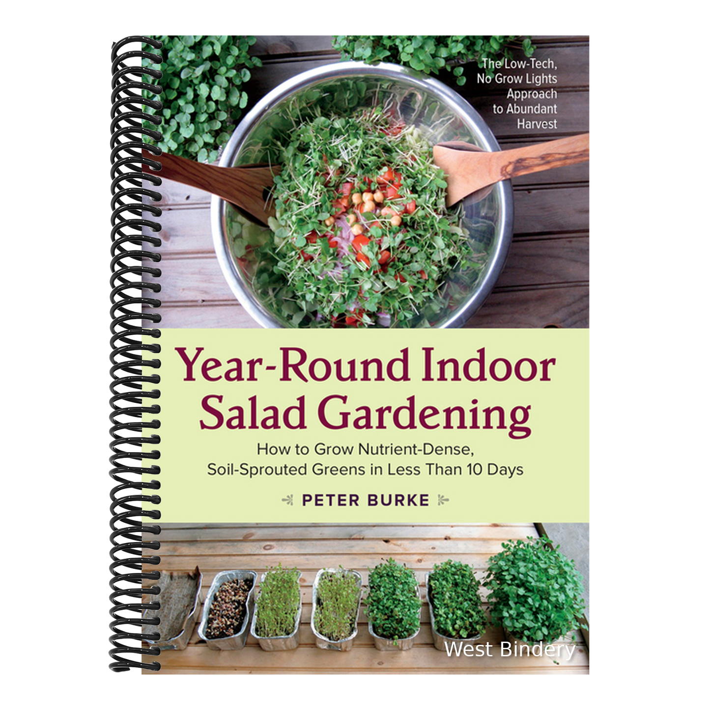 Year-Round Indoor Salad Gardening: How to Grow Nutrient-Dense, Soil-Sprouted Greens in Less Than 10 Days