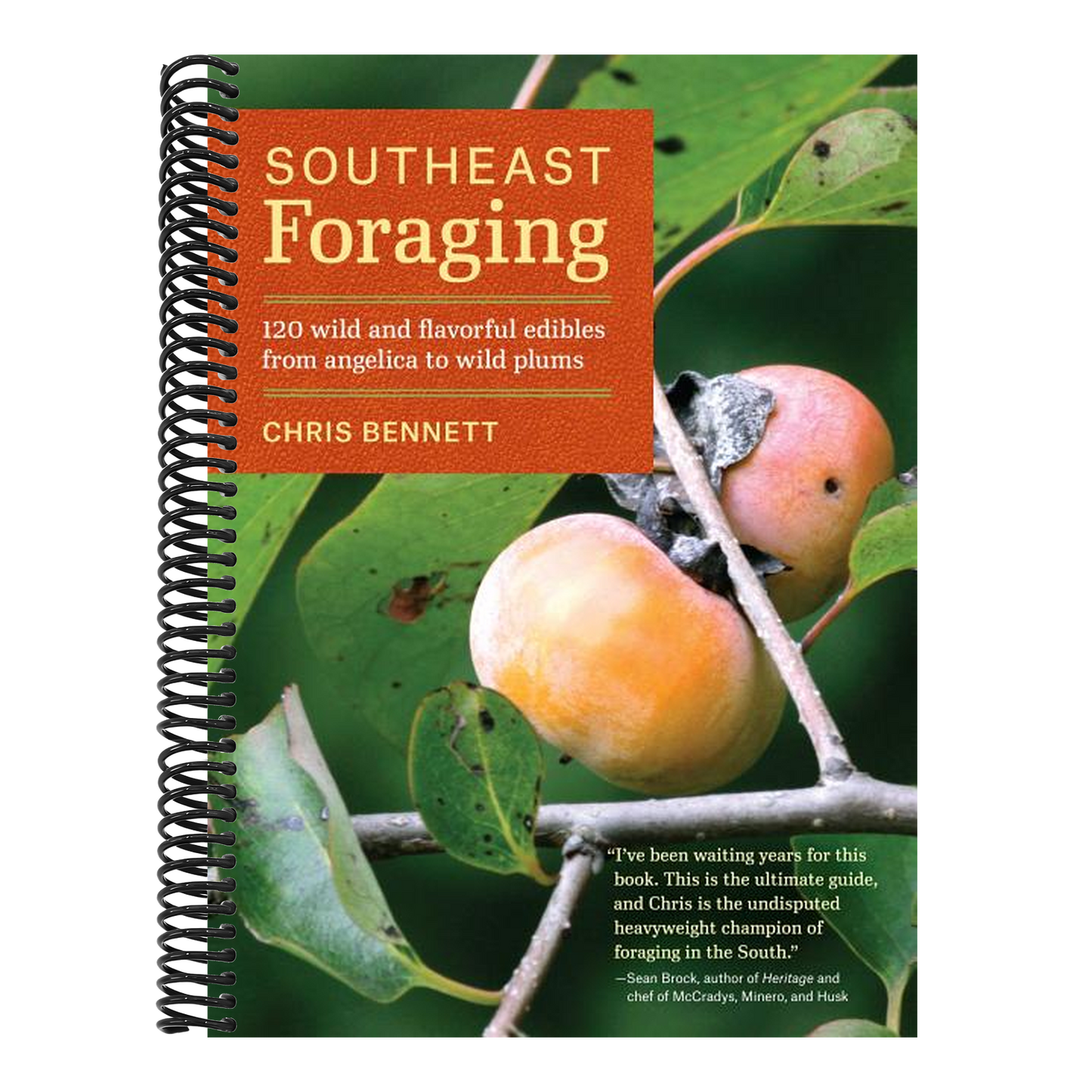 Southeast Foraging: 120 Wild and Flavorful Edibles from Angelica to Wild Plums (Regional Foraging) (Spiral Bound)
