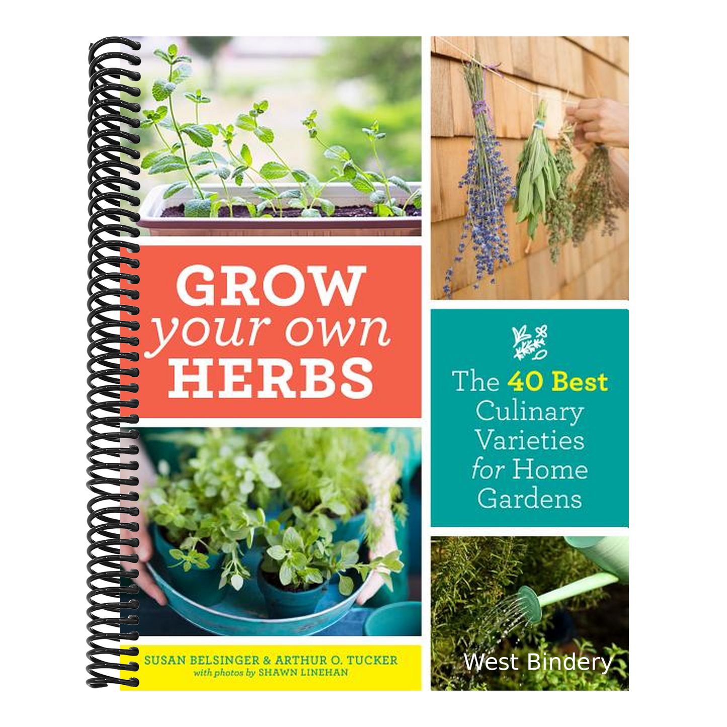 Grow Your Own Herbs: The 40 Best Culinary Varieties for Home Gardens