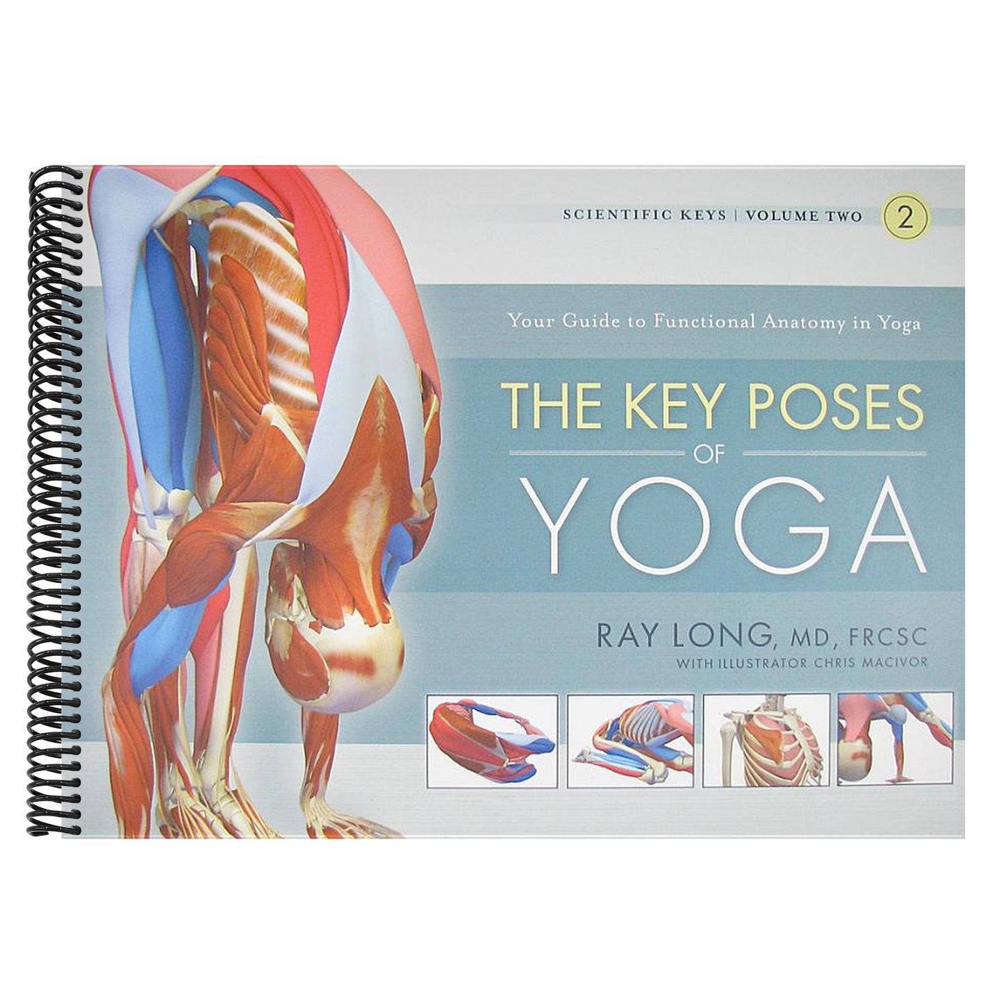 The Key Poses of Yoga