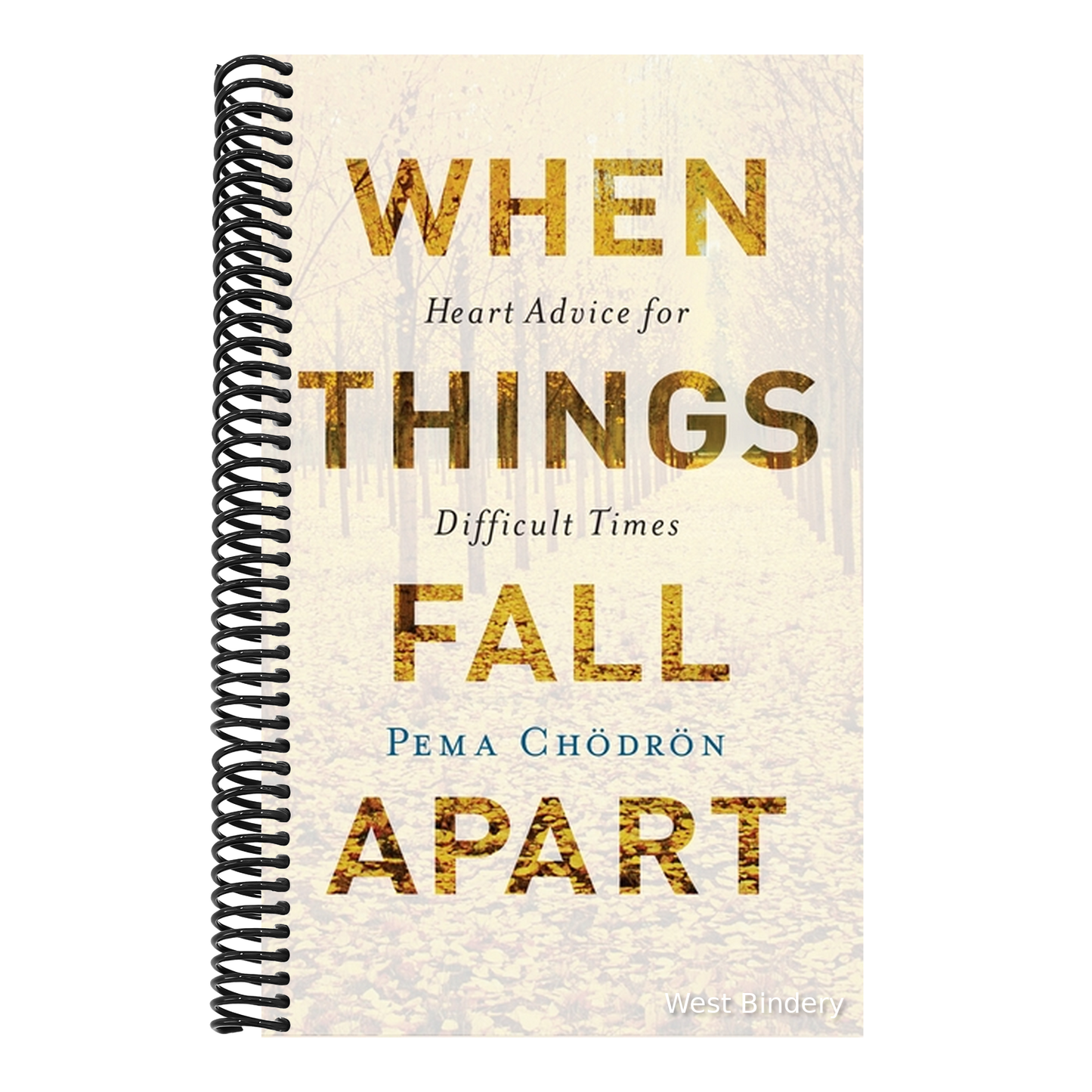 When Things Fall Apart: Heart Advice for Difficult Times (Anniversary)